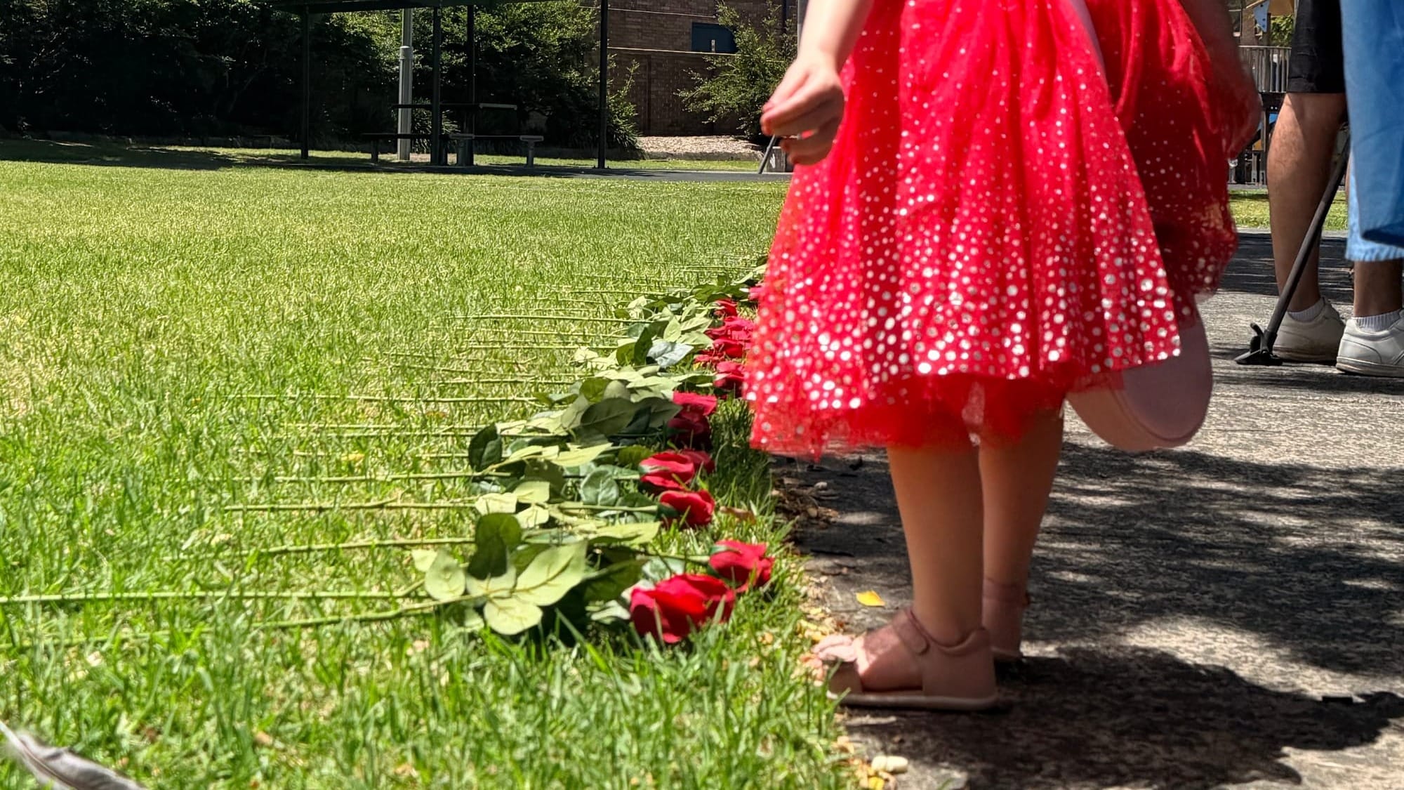 After Rose Vigil, city lights up with symbolic acts against gendered violence  post image