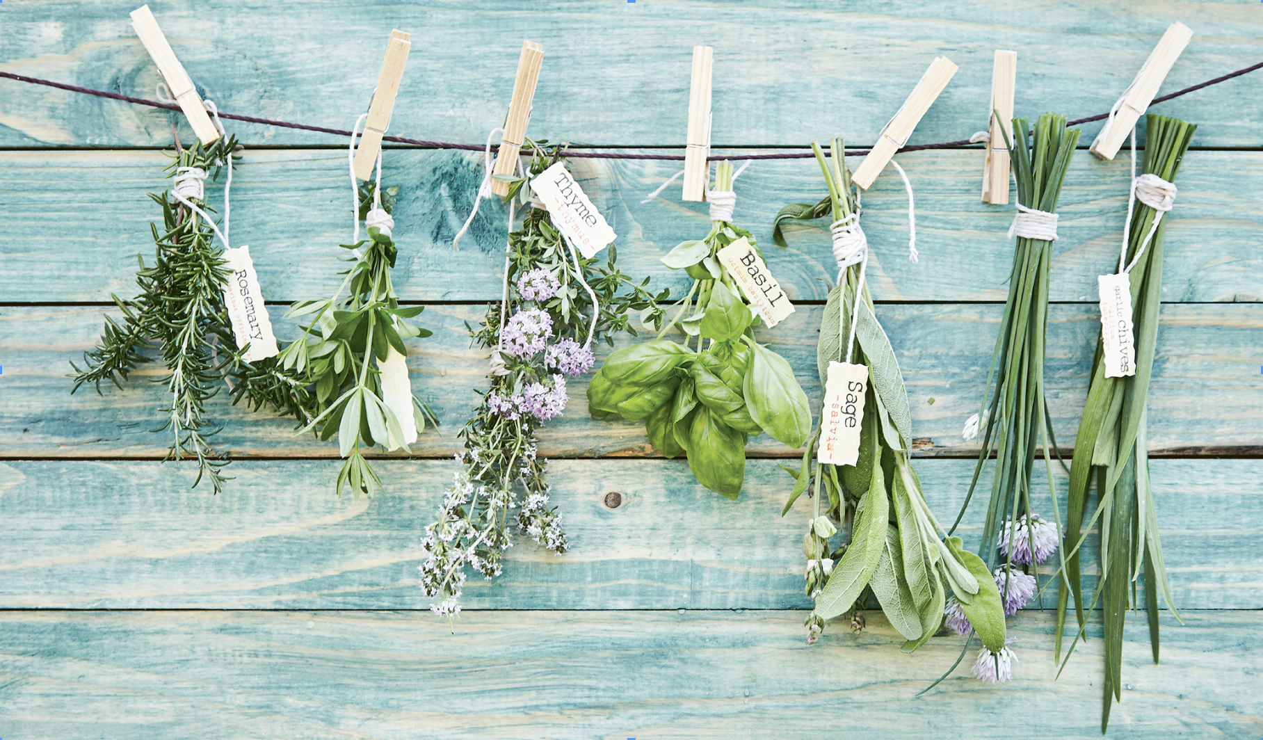 Helensburgh Guides plant fresh herb and flower garden  post image