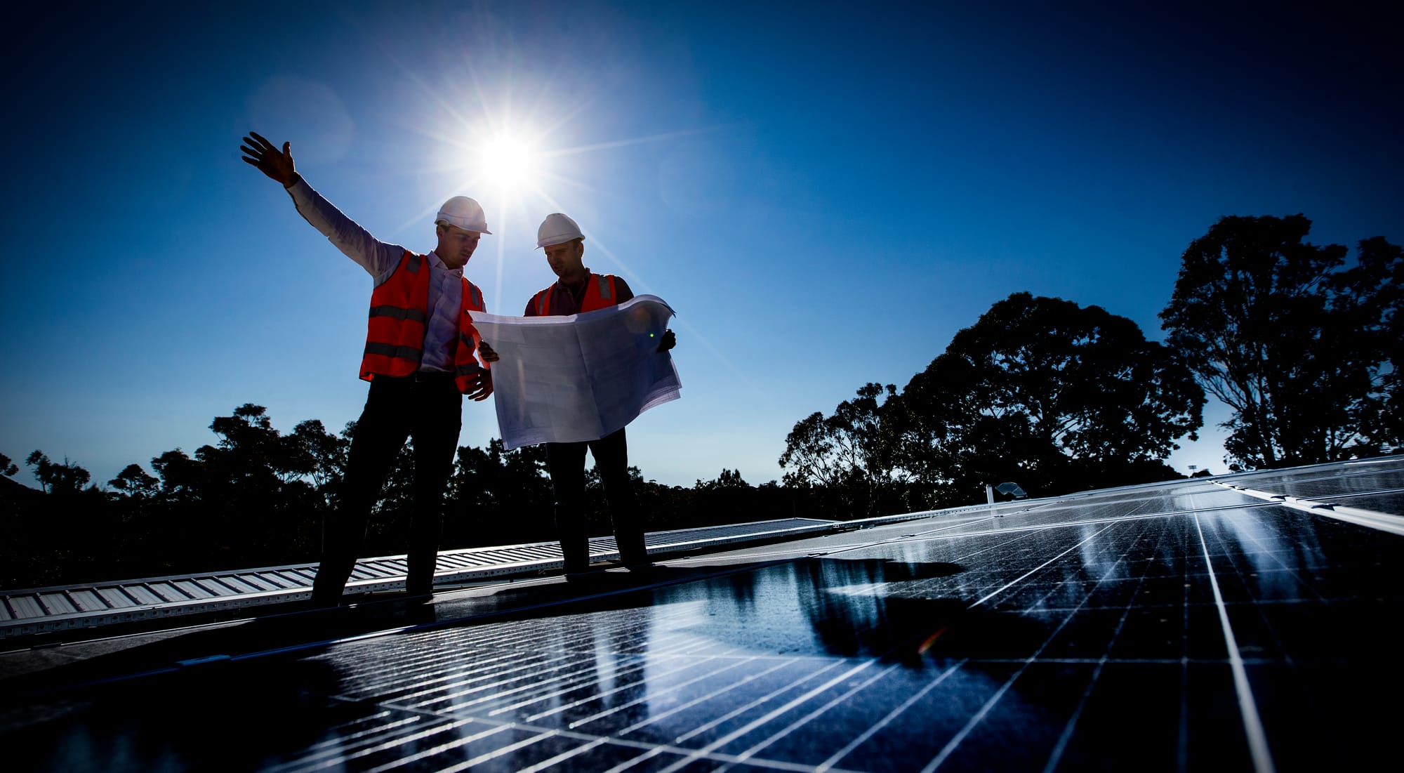 New plan to give households free electricity over midday  post image