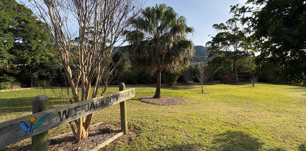 Thirroul Village Committee's December Update  post image