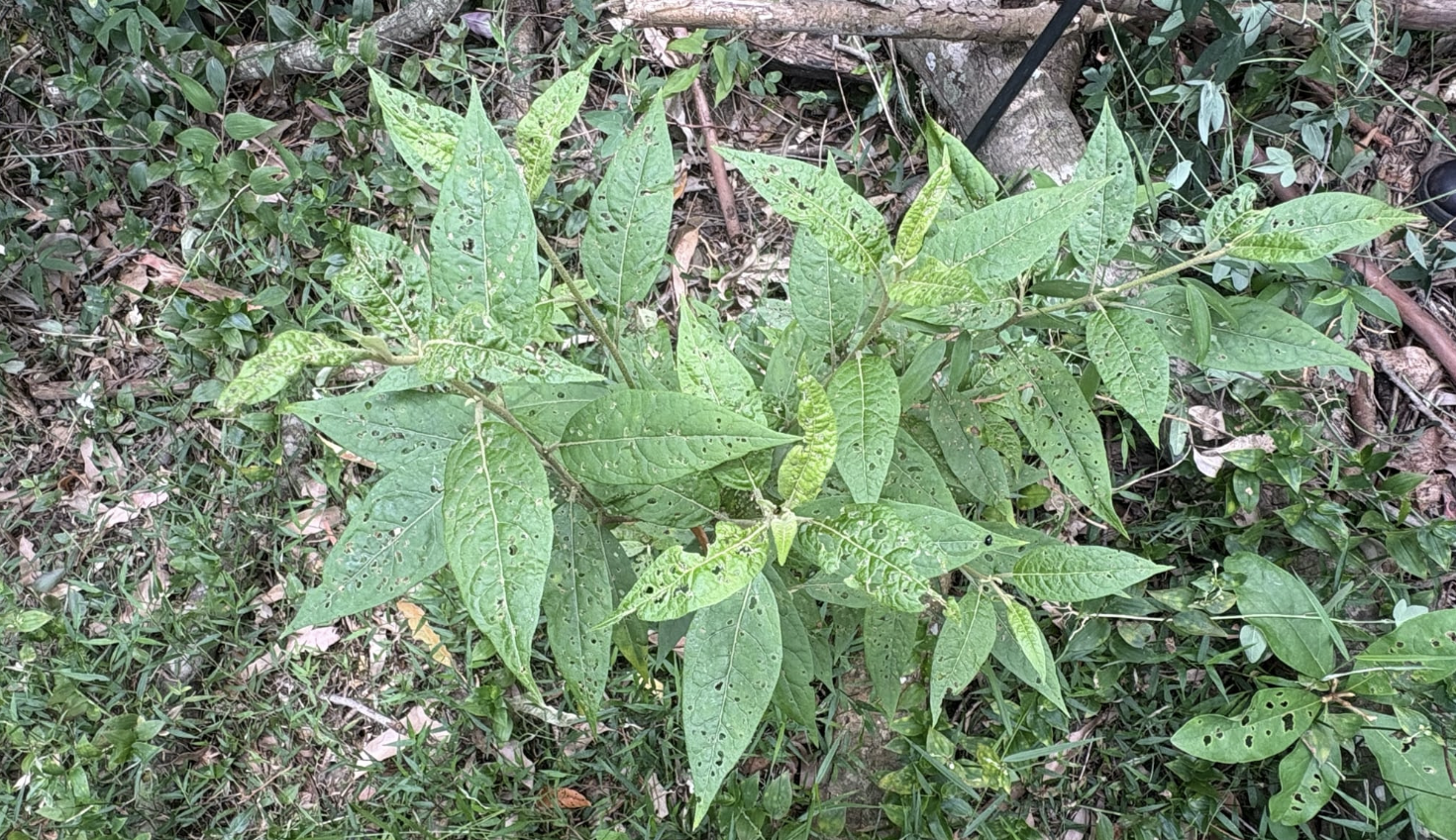 When is a bug a feature?  post image