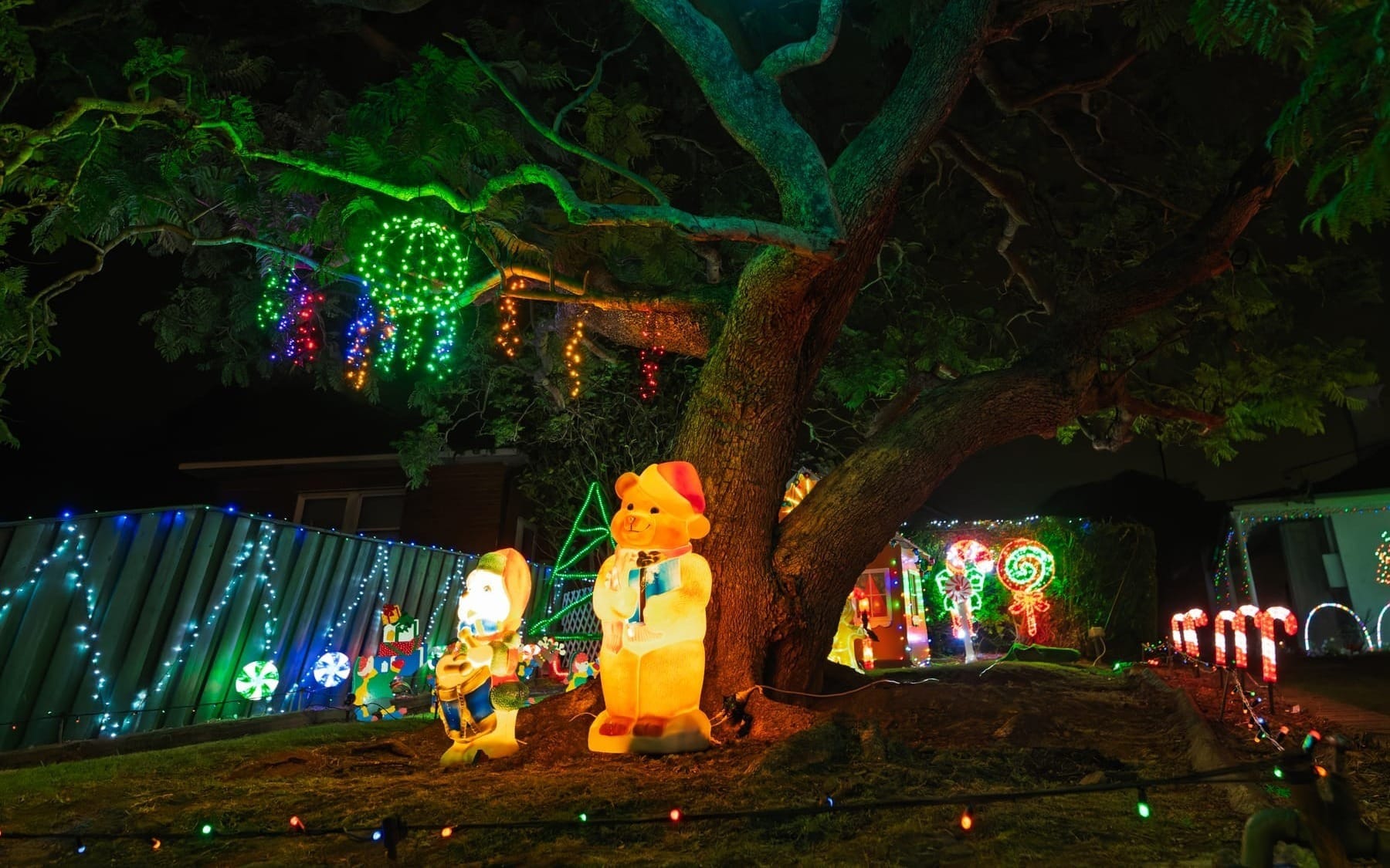Christmas lights of the Illawarra  post image