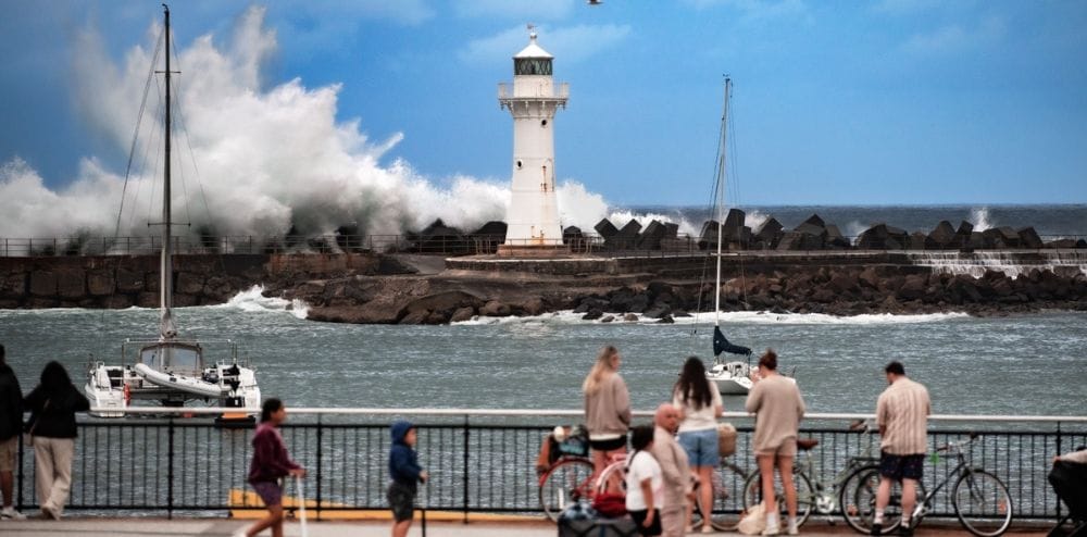 Council to review fireworks launch locations following New Year's Eve cancellation