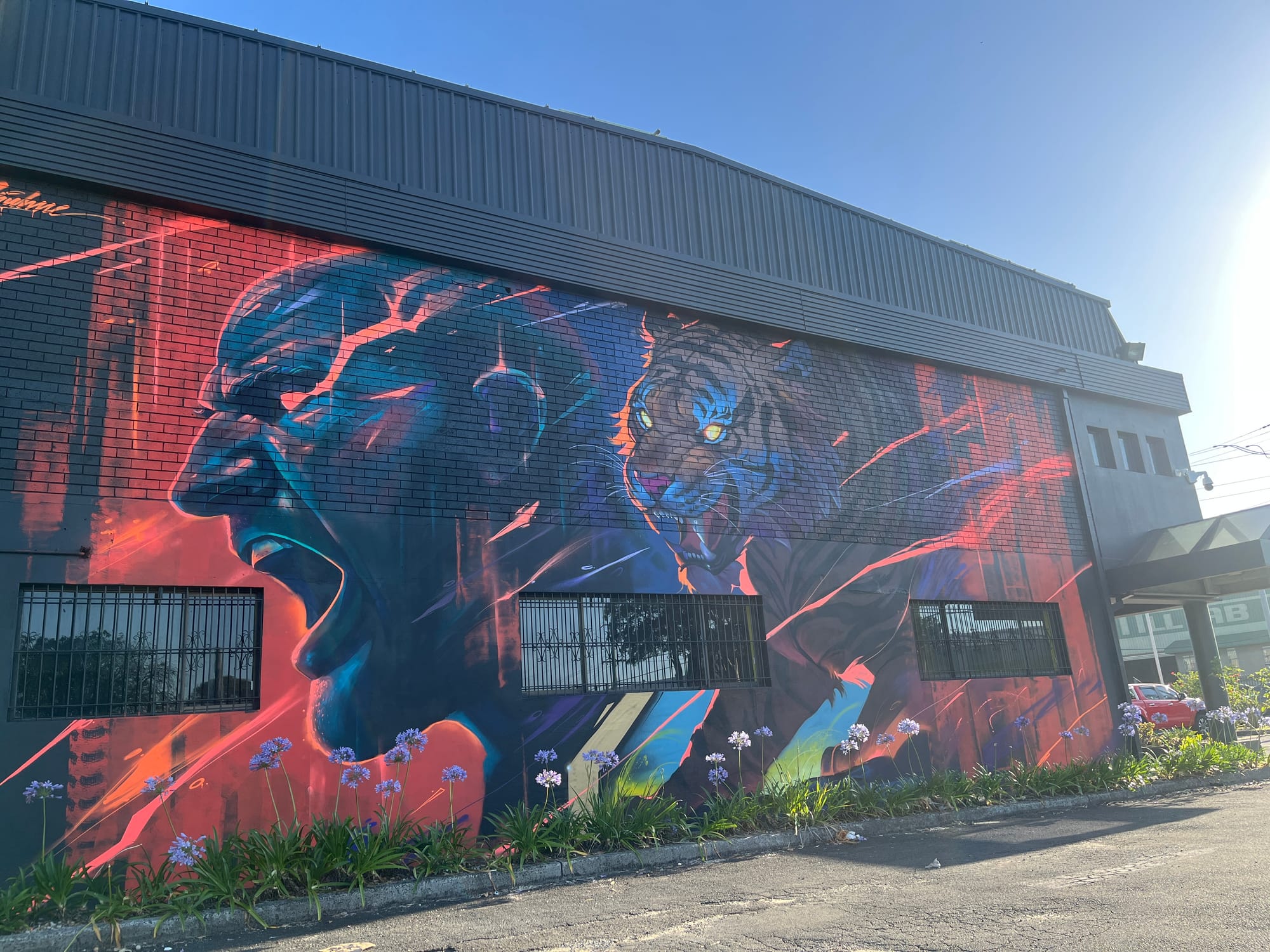 World champ Volkanovski leads MMA charge in the Illawarra