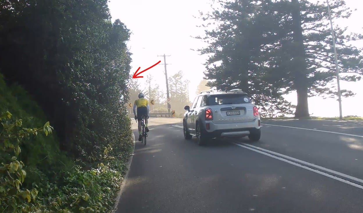 Thirroul Village Committee presents February update  post image