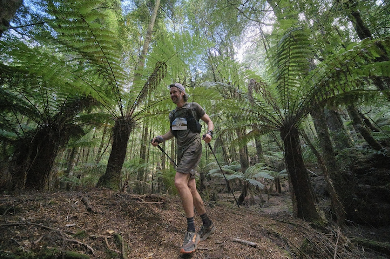 A Night for Takayna: Why protecting Tasmania’s ancient rainforest matters  post image