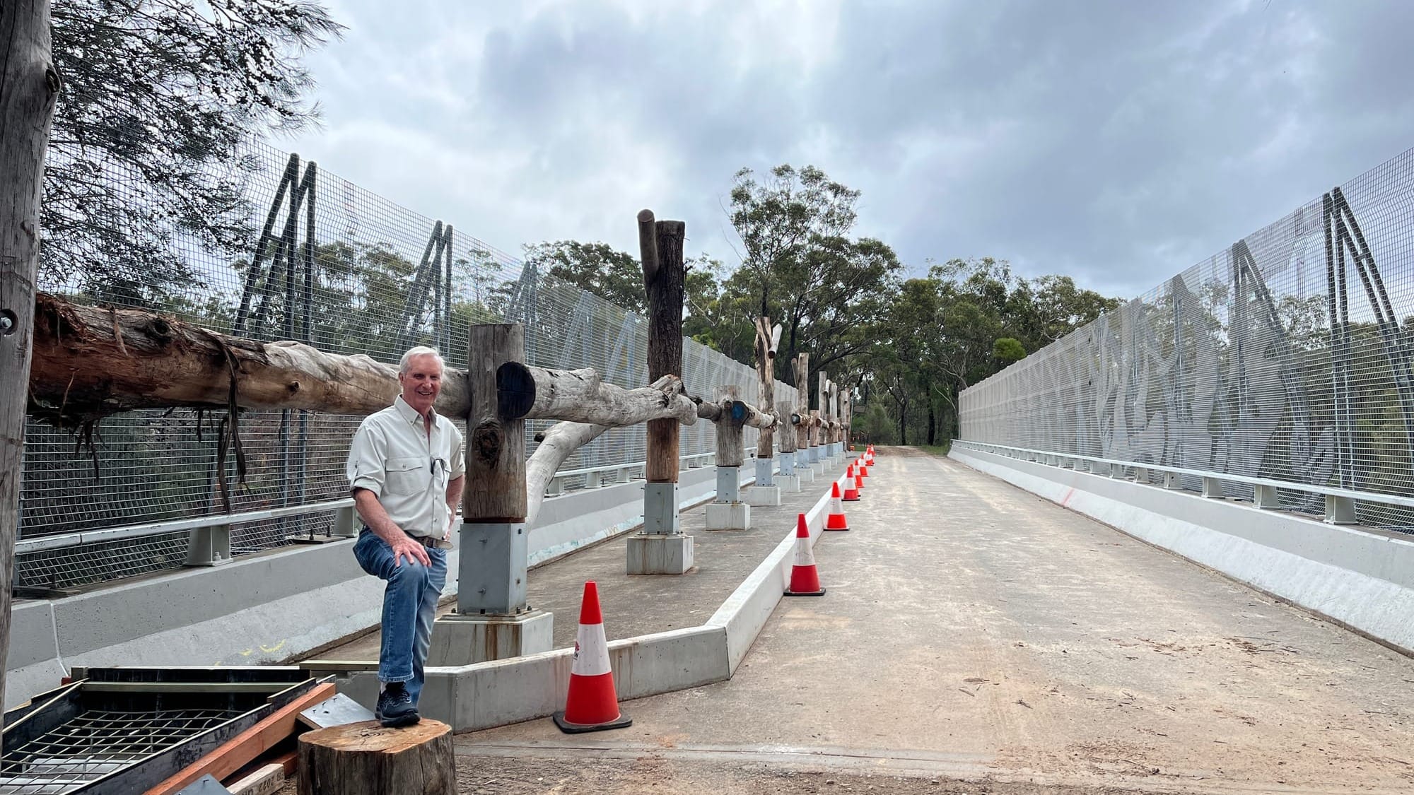 Seen the new wildlife crossing on the M1? It’s 'bewildering'  post image