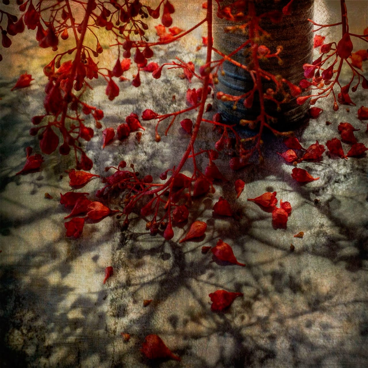 New photos arise from shadows of award-winner's success