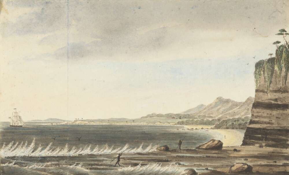 Aboriginal patch-burning helped shape early colonial Illawarra  post image