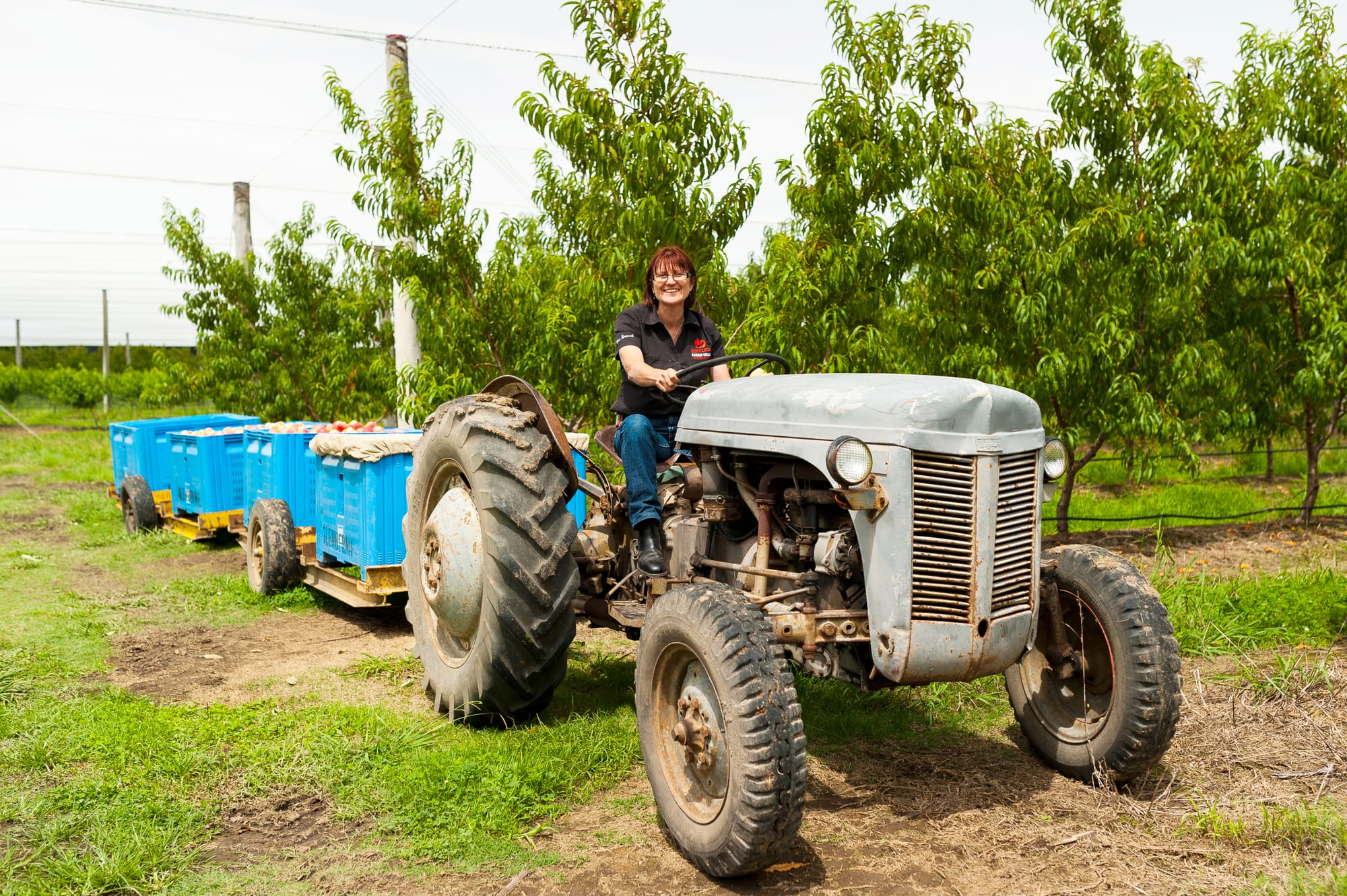 In toughest time for farmers, shopping local helps  post image