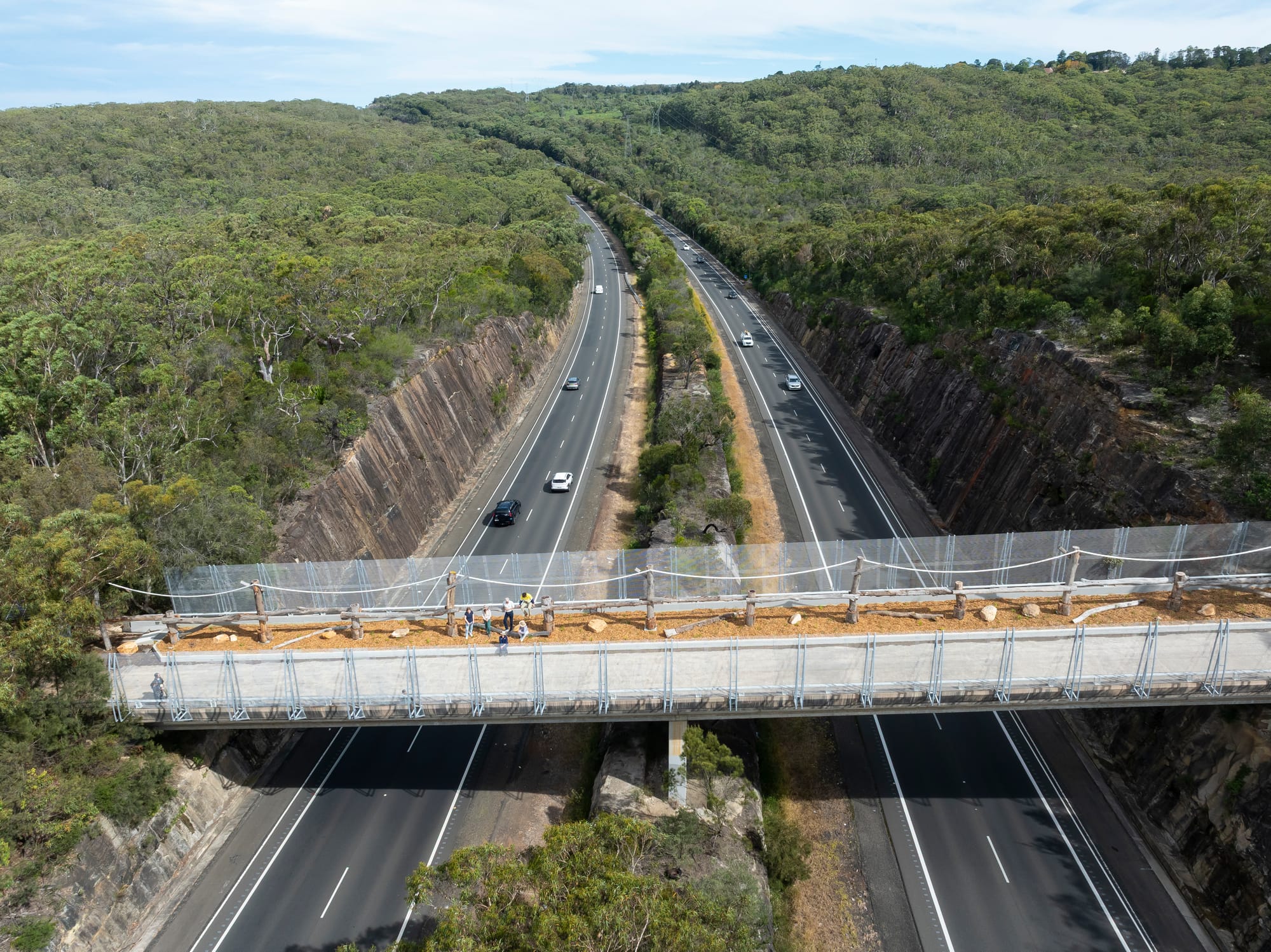 Hoot if you love wildlife crossings 
												post image
