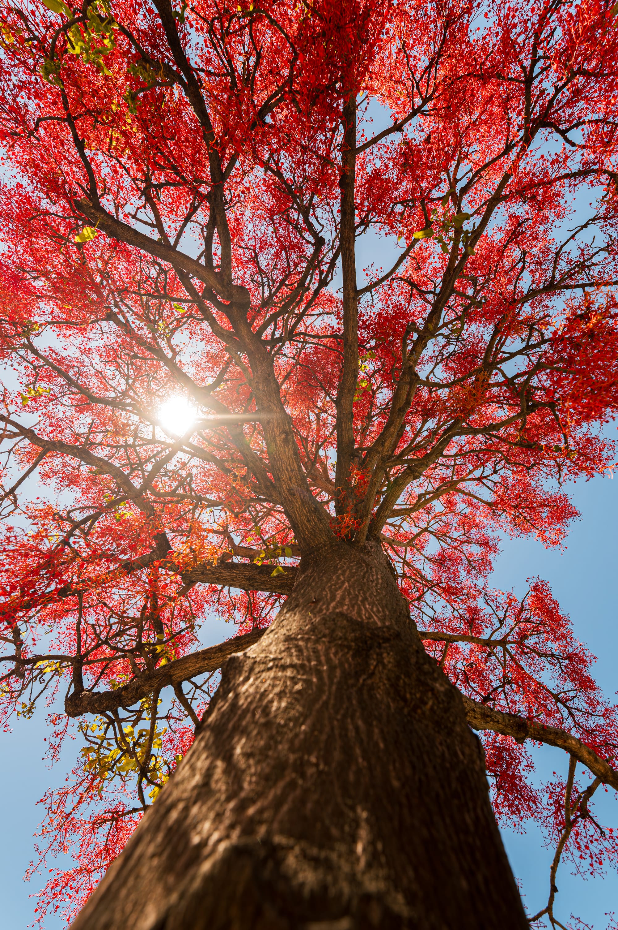 Humans of the Illawarra, have your say 
												post image