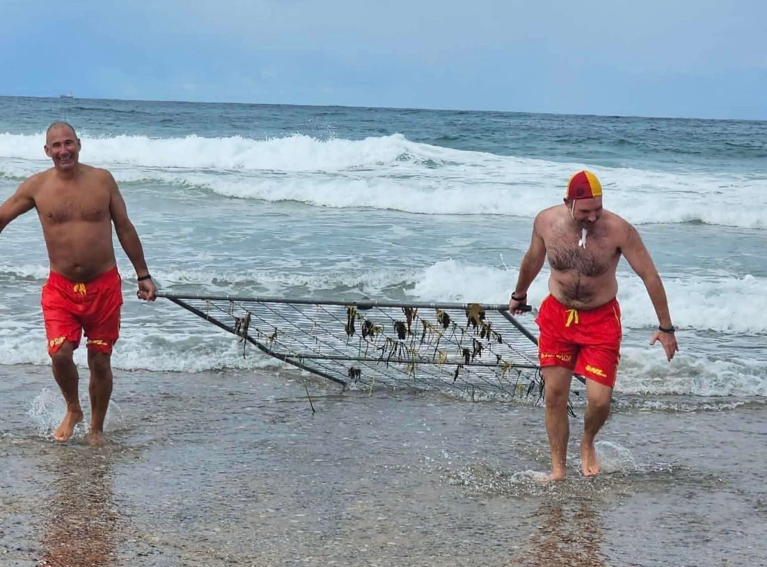 A very different rescue for North Beach lifesavers  post image