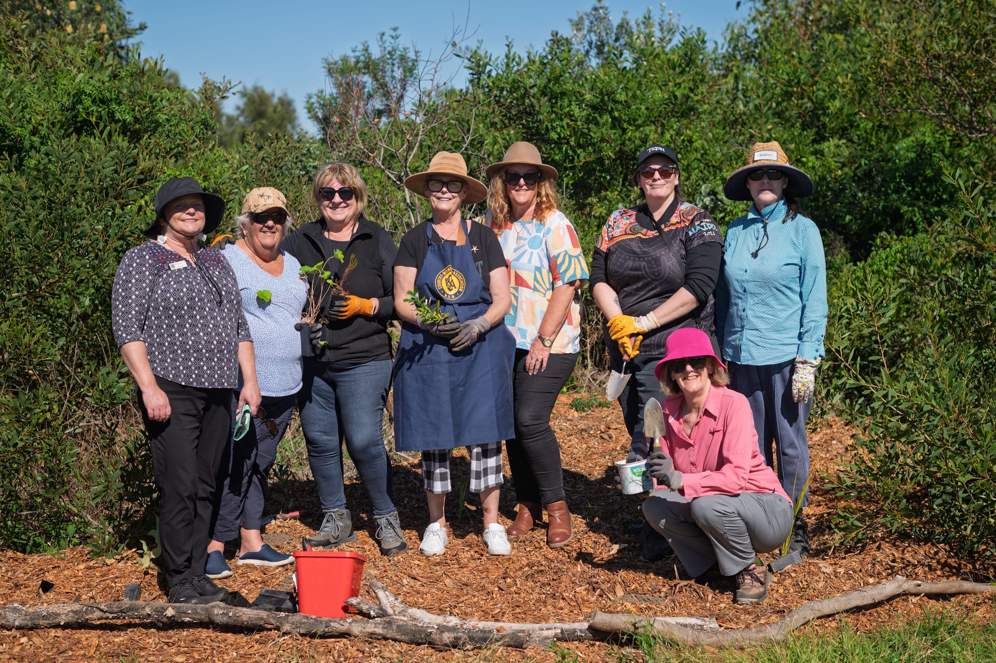 Lagoon planting party prepares ground for cockatoo comeback 
												post image
