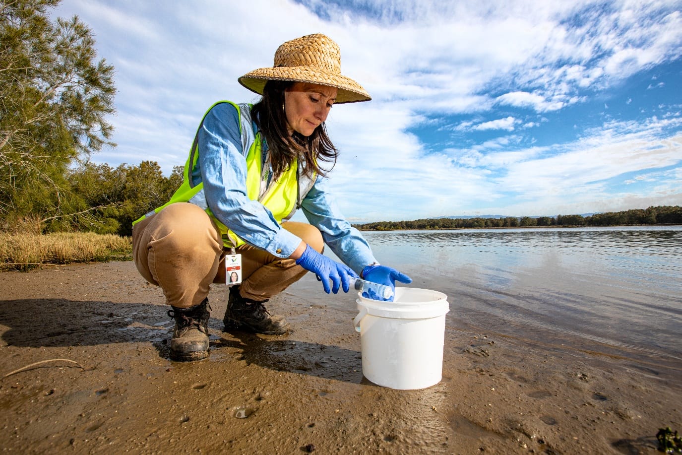 Surveys reveal remarkable biodiversity in Illawarra waterways 
												post image