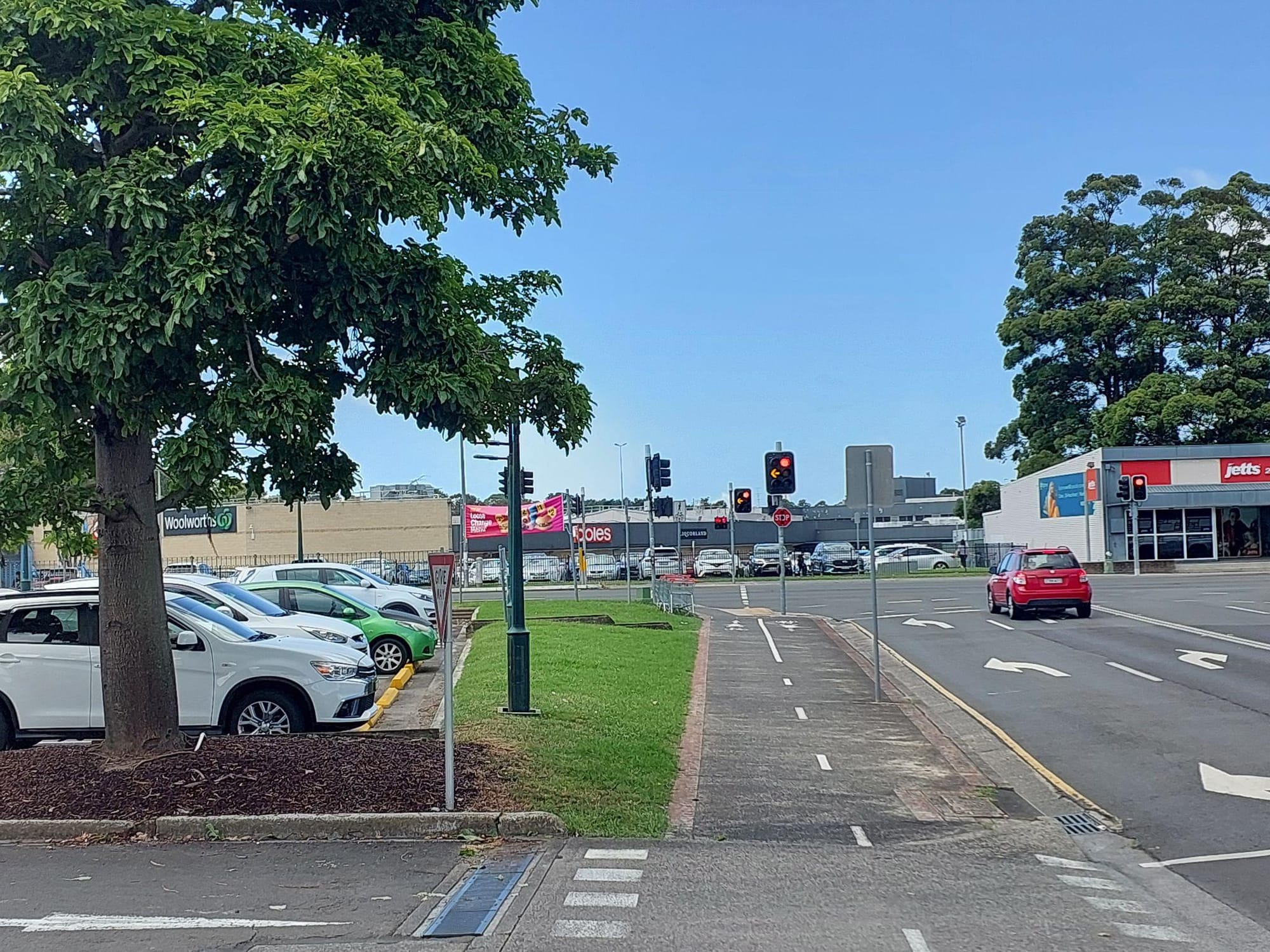 More money for trees – and how forests can help our city breathe  post image