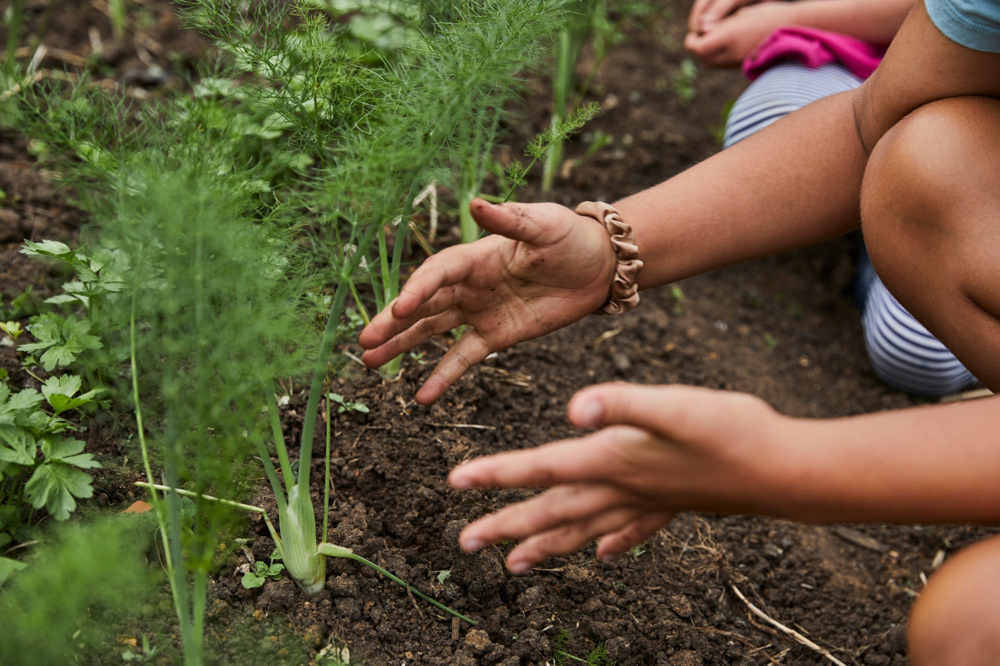 Growing your food matters more than ever 
												post image