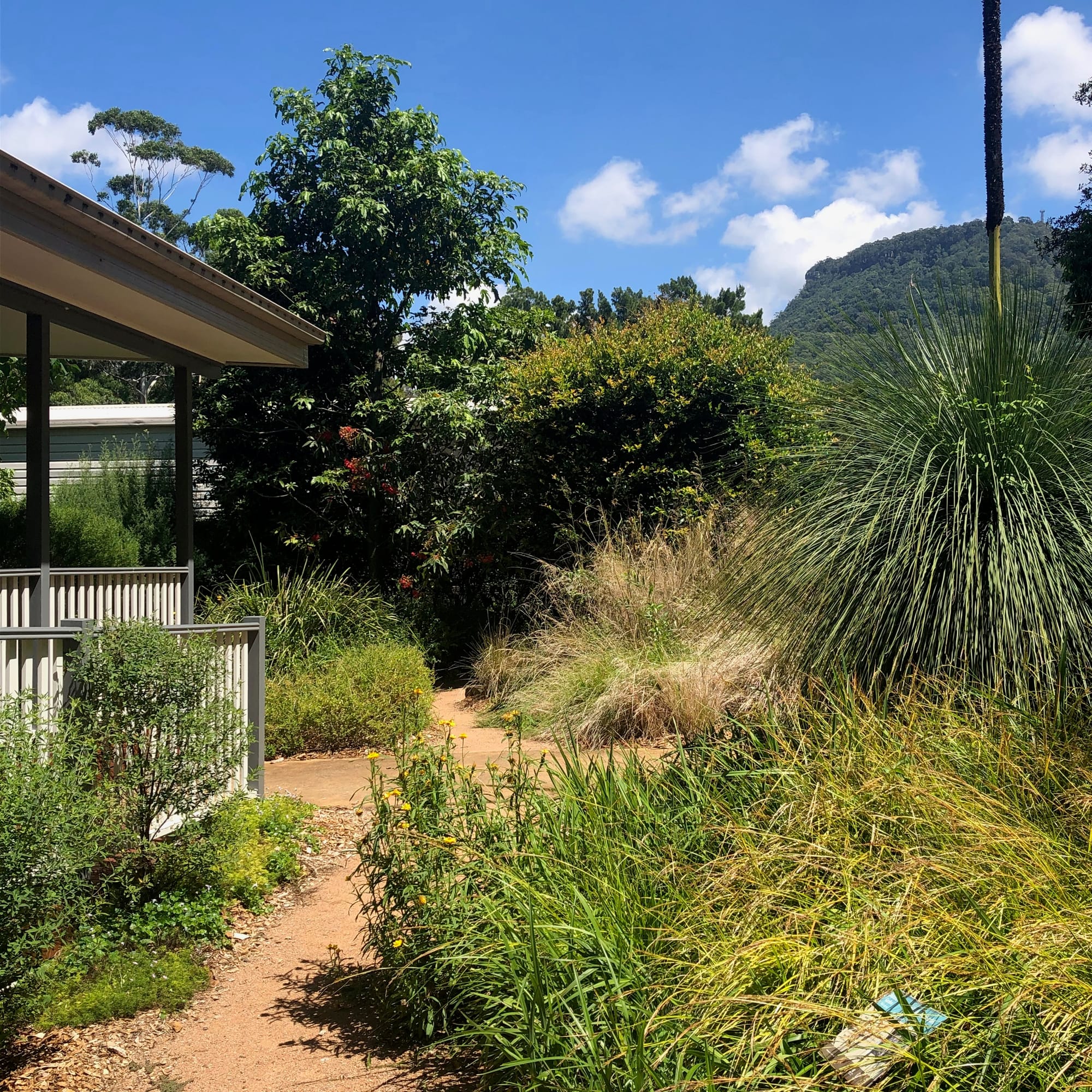 There are many quiet and peaceful places around Wollongong Botanic Garden to relax and connect with nature. Image by Emma Rooksby.