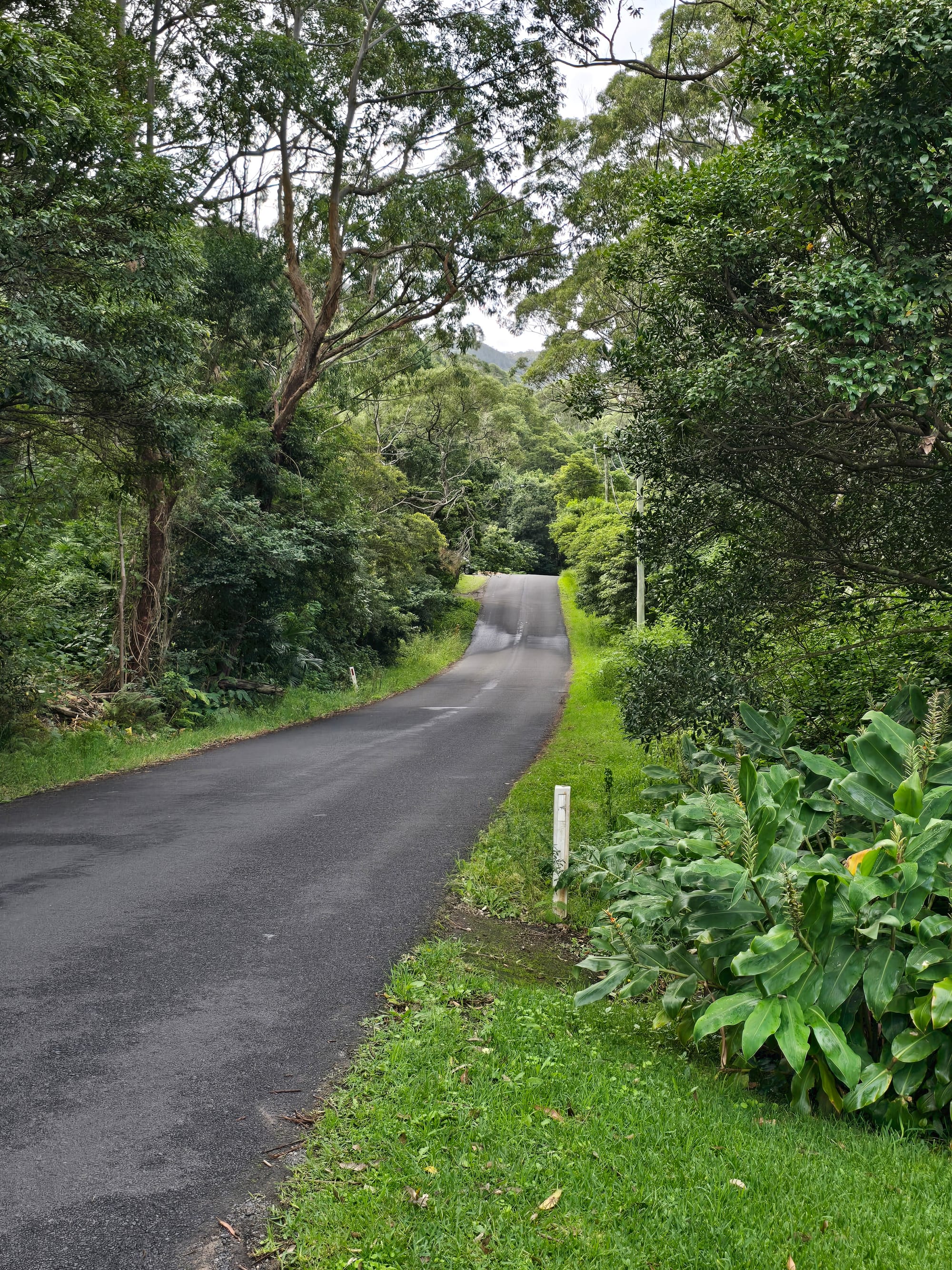 Council statements on Buttenshaw Drive 
												post image