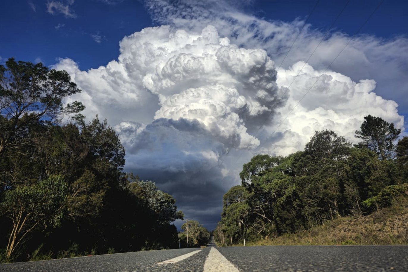 Thunderstorm 101: Danger signs 
												post image