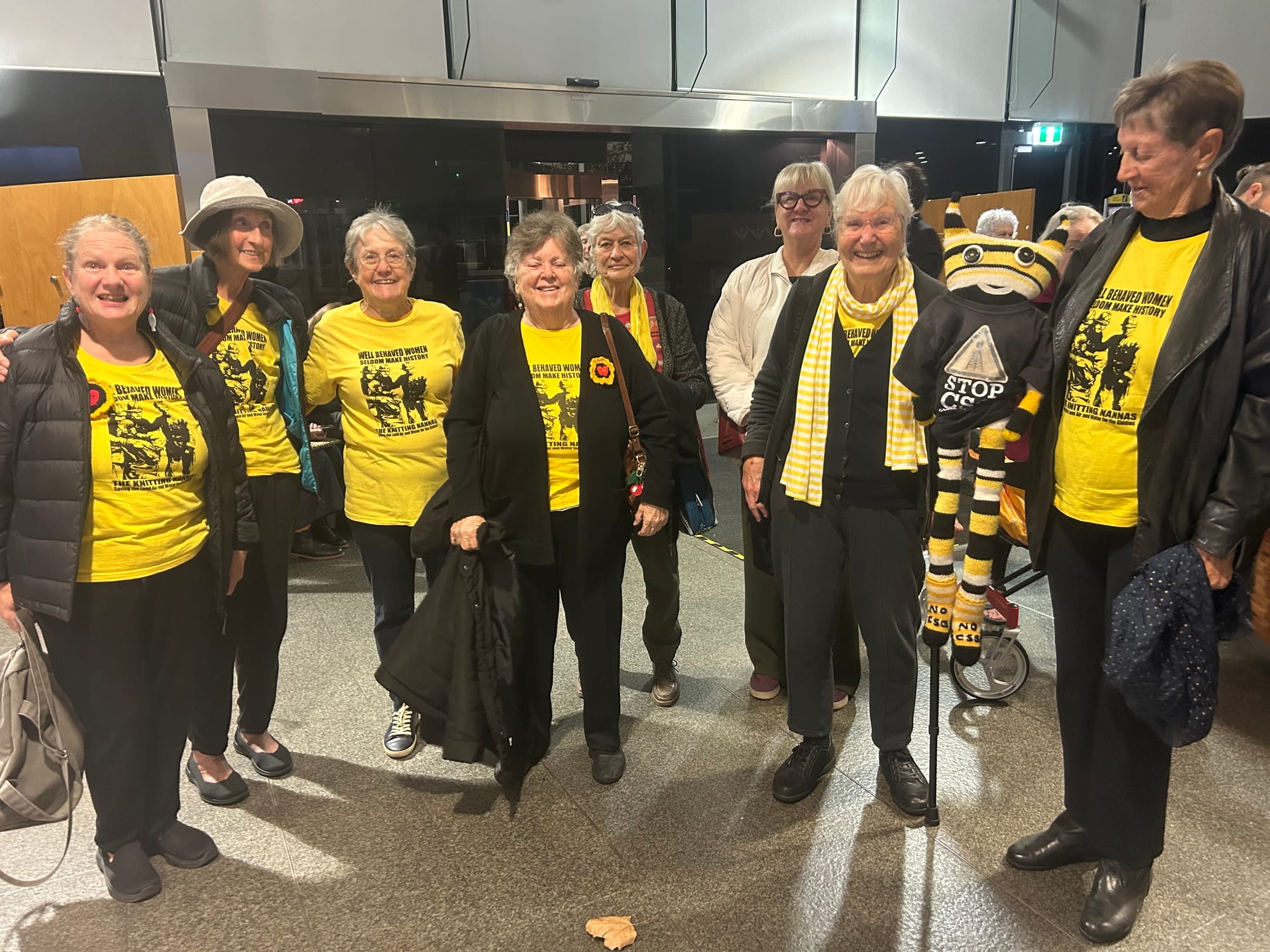 Council's action on renewables  gets thumbs up from Knitting Nannas 
												post image