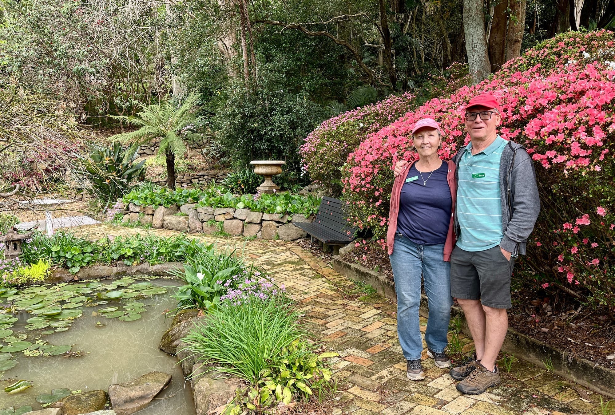 From rhododendrons to rainforest, Wollongong's secret garden is blooming