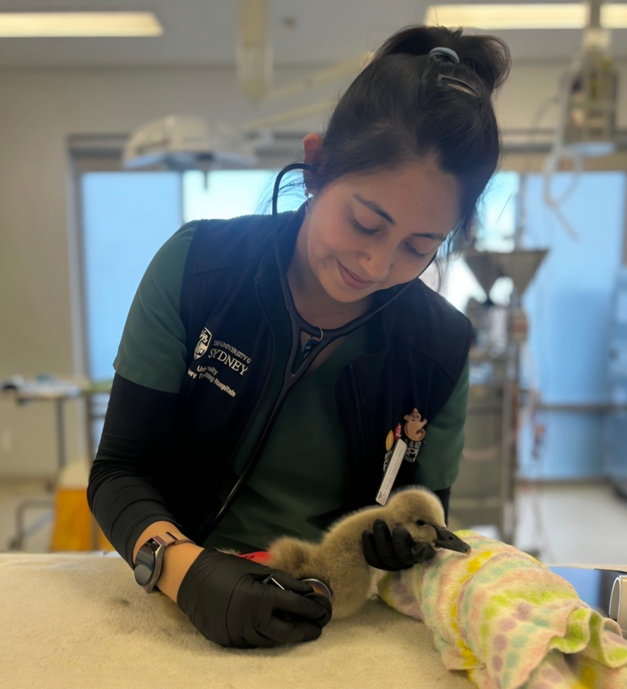 Is there a threat to your pet? Austi vet answers bird flu questions 
												post image