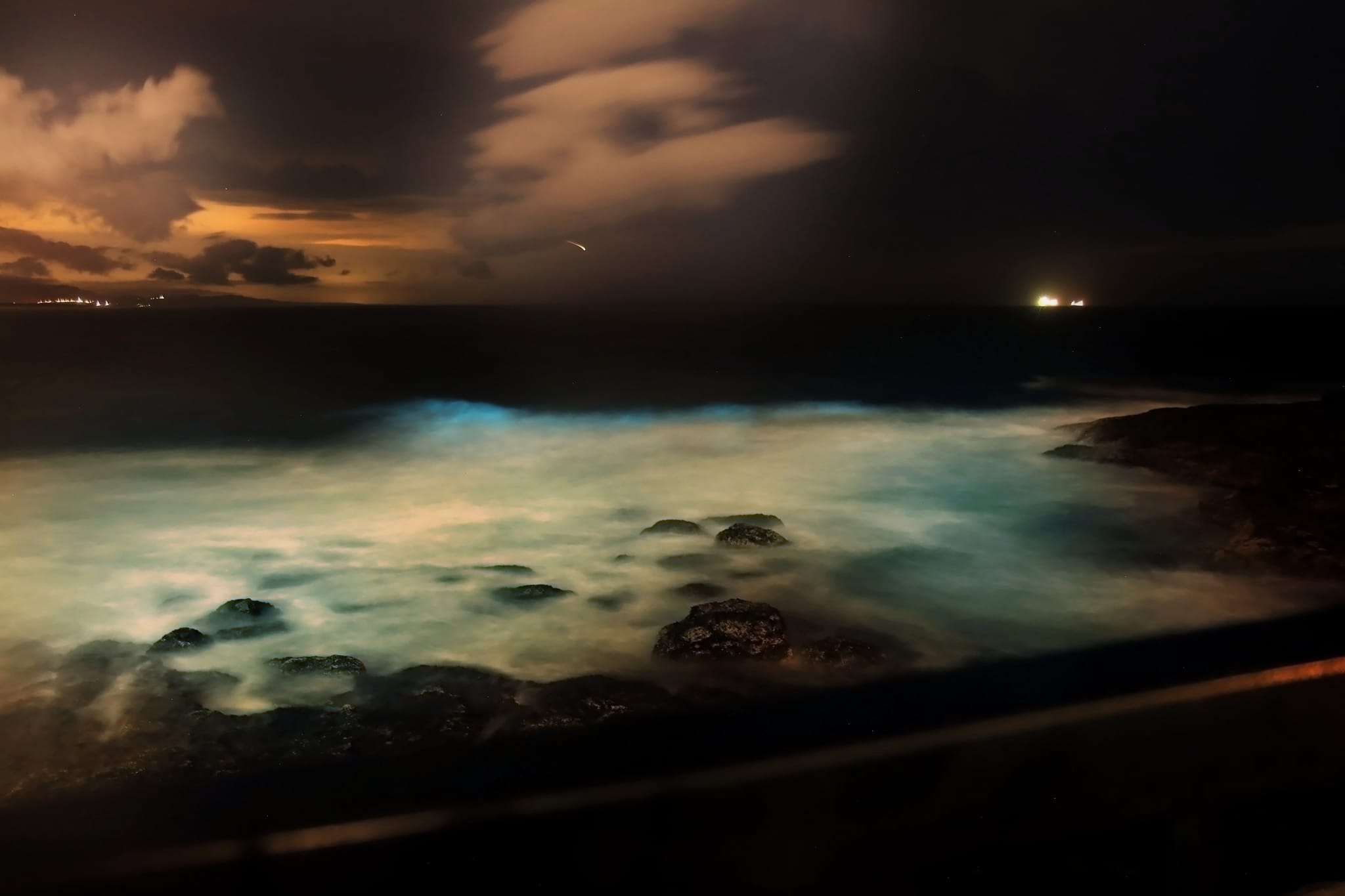 Nature Notes: sea sparkle, rainy day webcams and the Aussie Bird Count