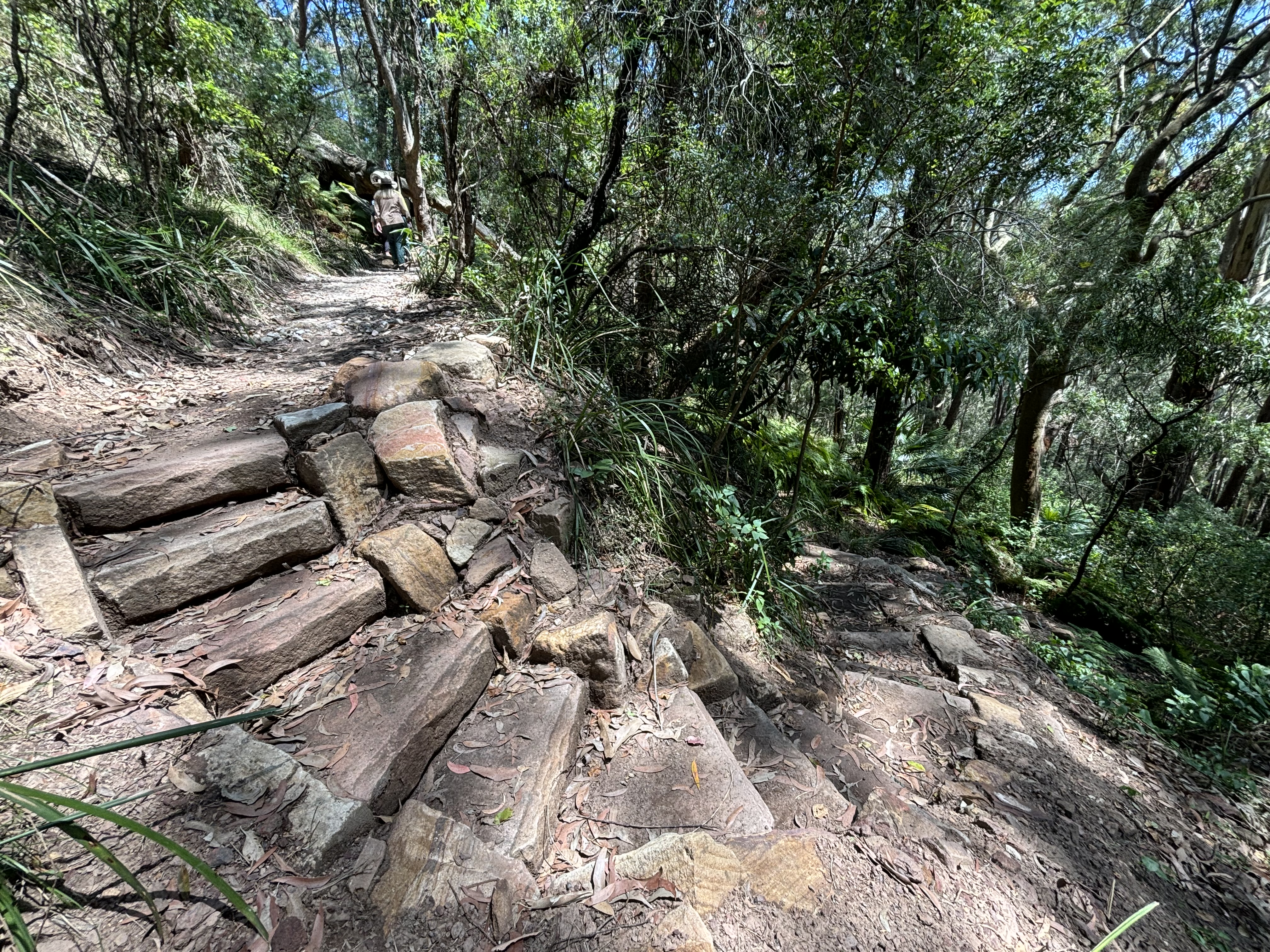 Bushwalk reopens: First look at Wodi Wodi Track