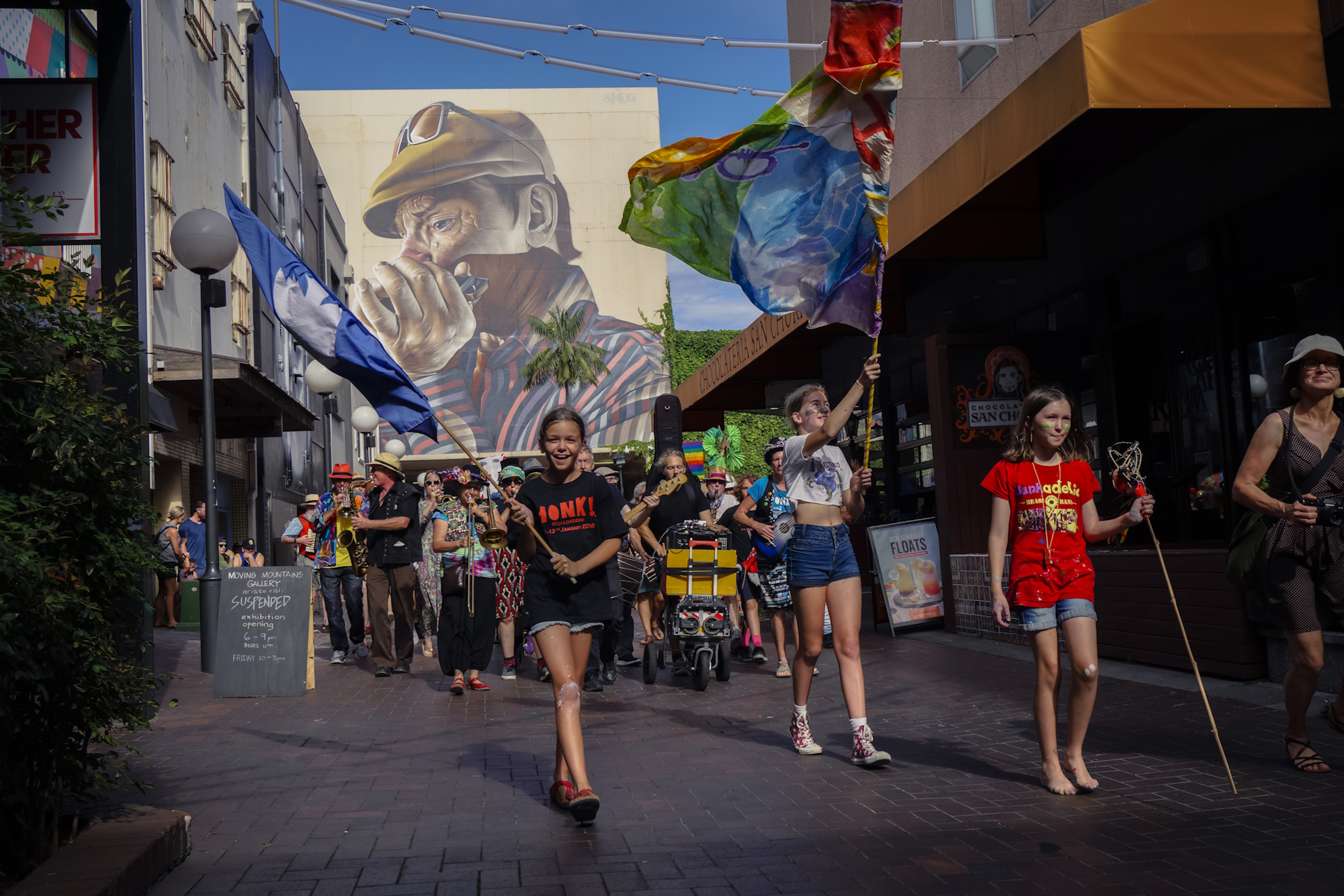 Honk! Oz exhibition opens at Wollongong Library  post image