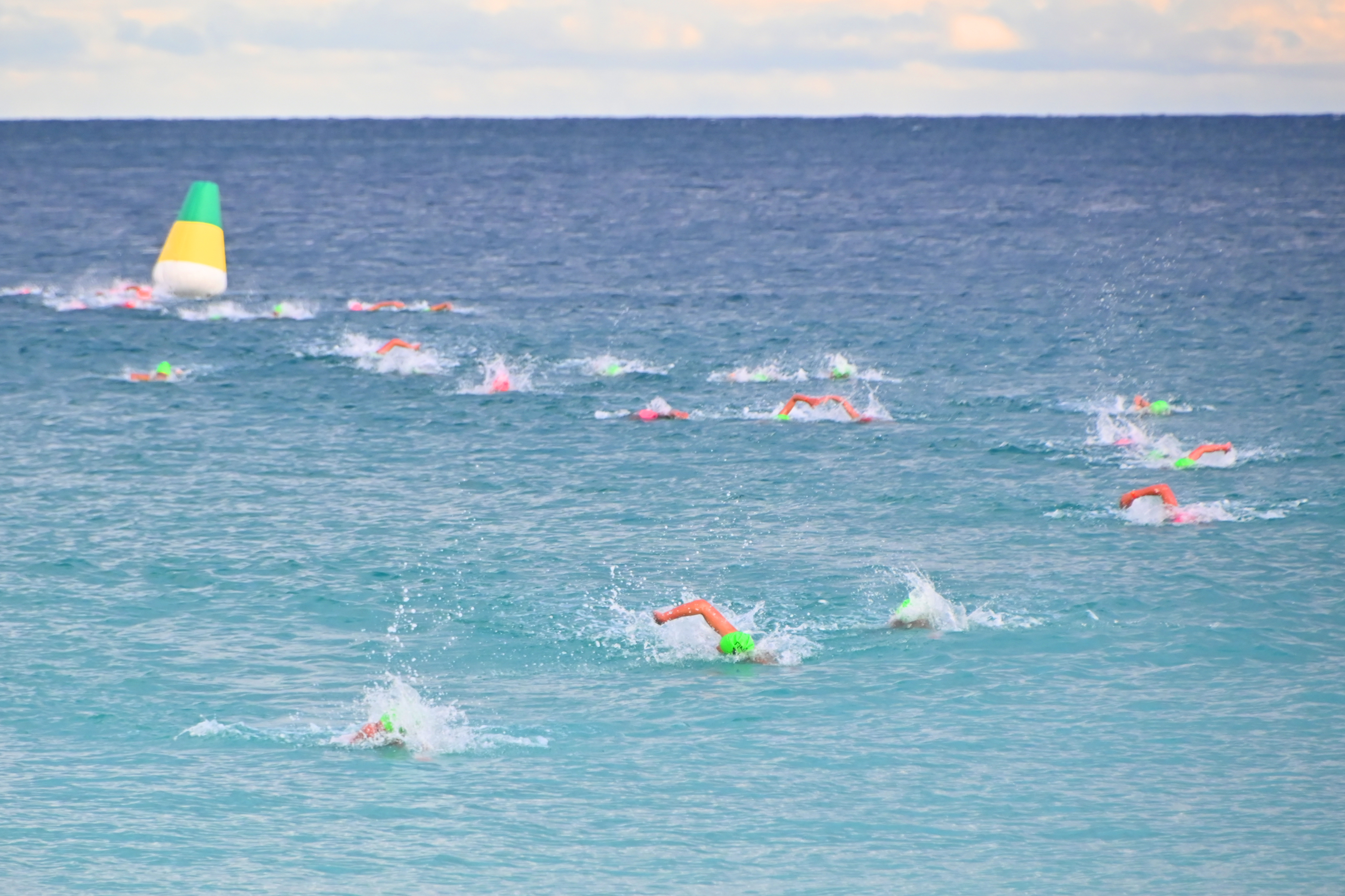 Hello, Tuesday readers