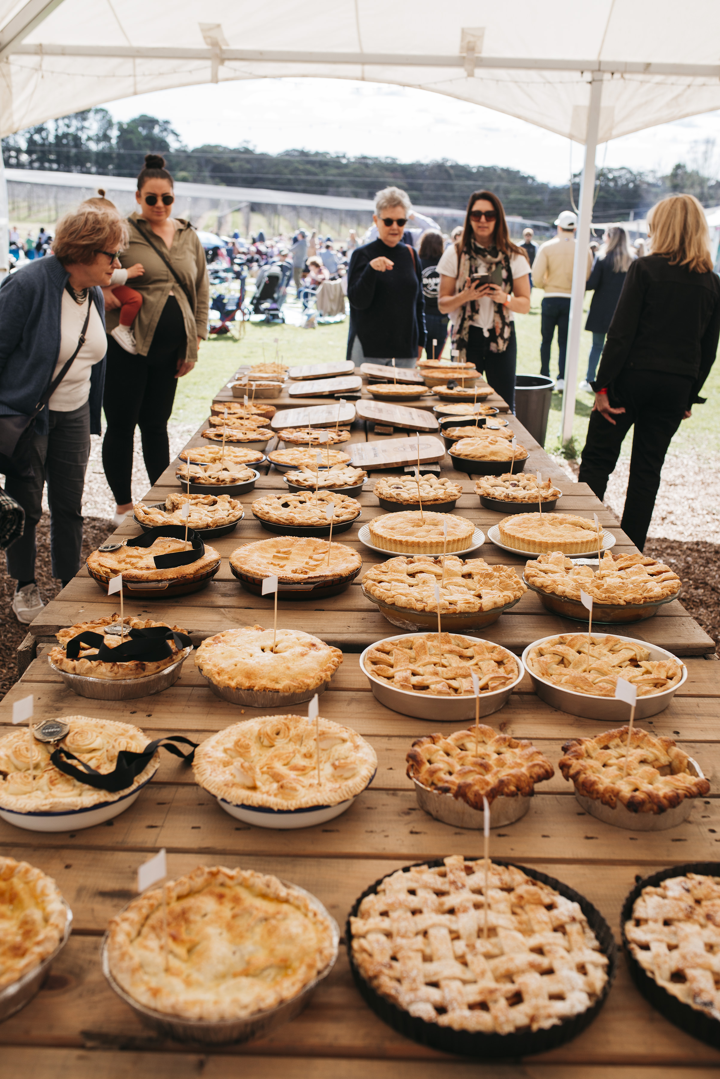 Darkes Glenbernie Orchard has to cancel Apple Pie Day