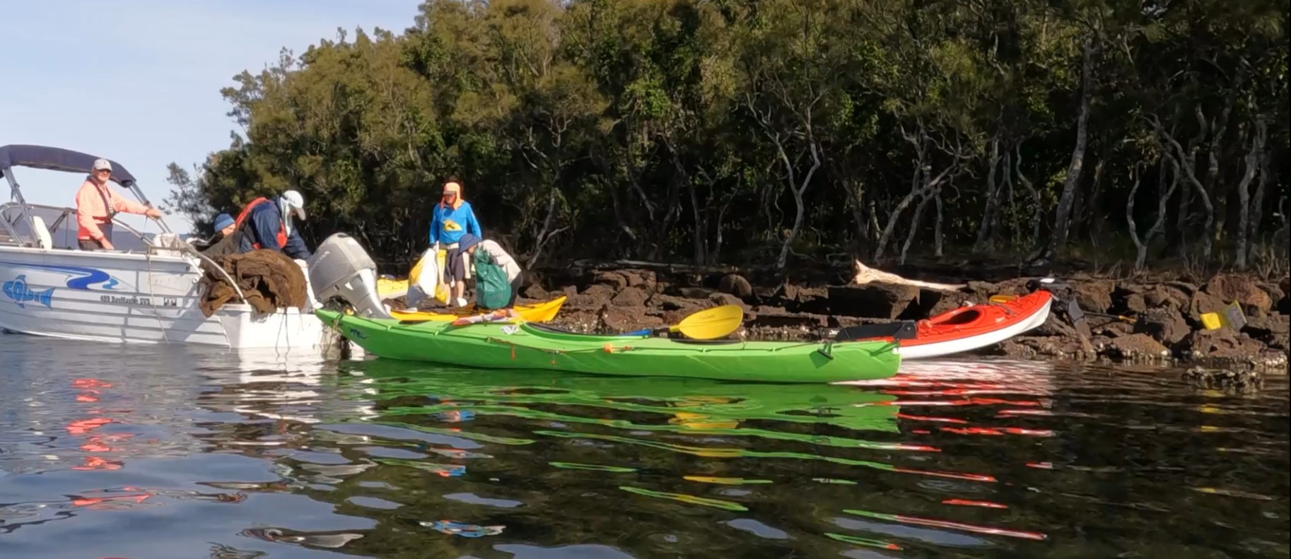 Kayakers remove 20 big bags of rubbish from island in Lake Illawarra  post image