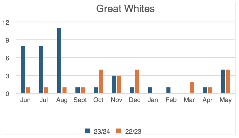 Hello Fish: Shark detections for 2023/24