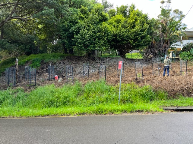 Join a local Bushcare group