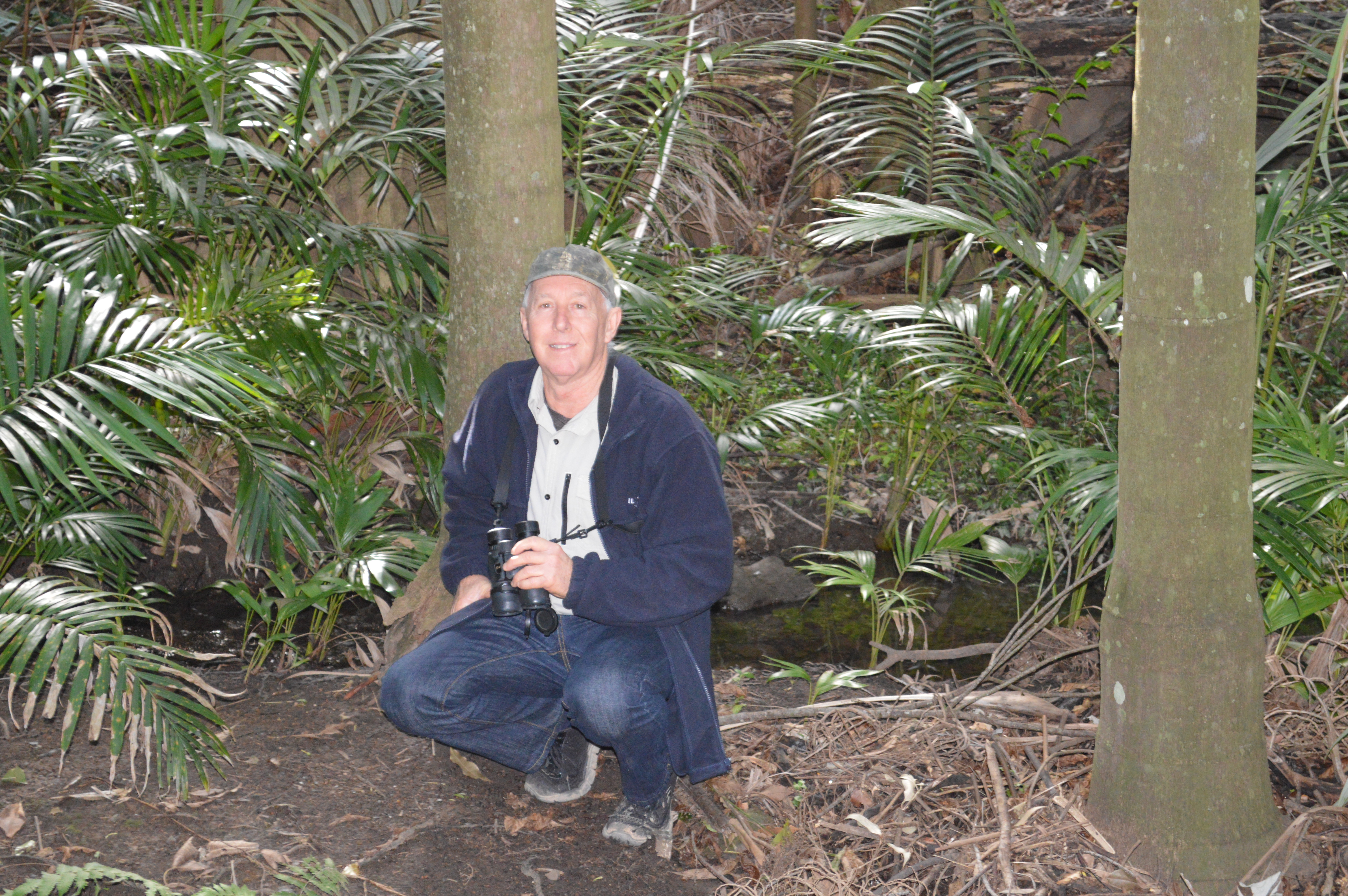 Let the Bird Count begin!