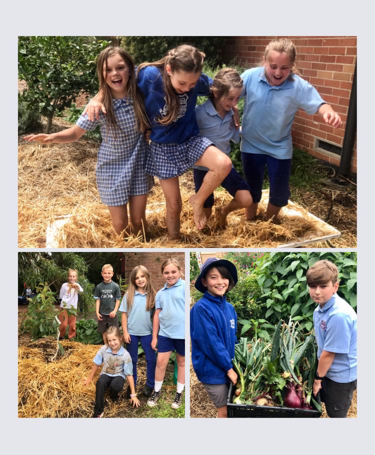 From Living Classroom to Tiny Forest  post image