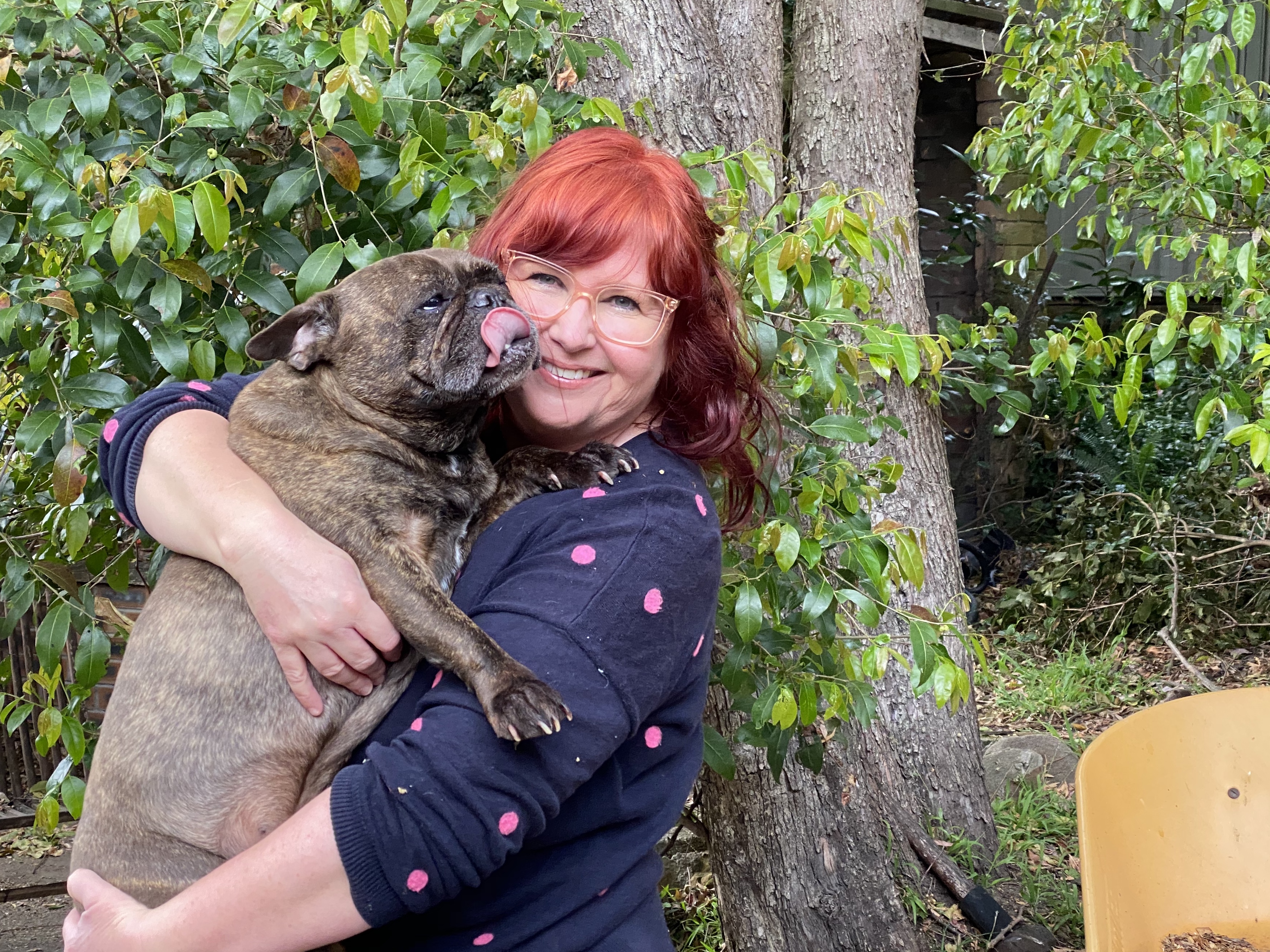 Hello, Wednesday readers