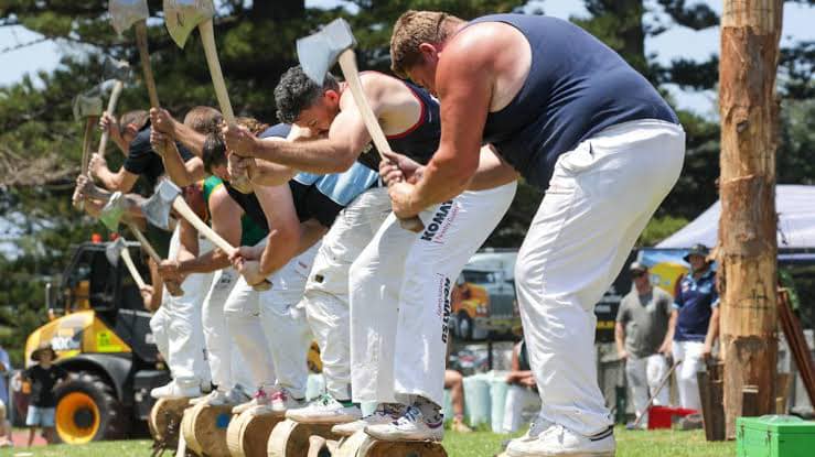 From medieval combat to shearing, it’s showtime!