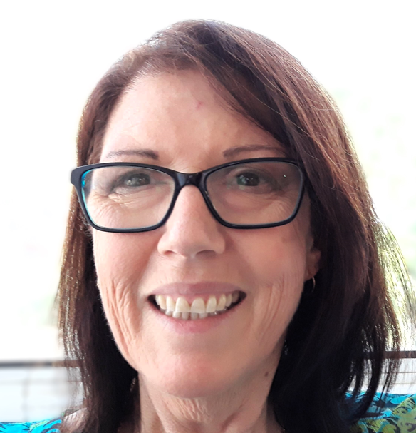 Meet a mayoral candidate: Suzanne de Vive