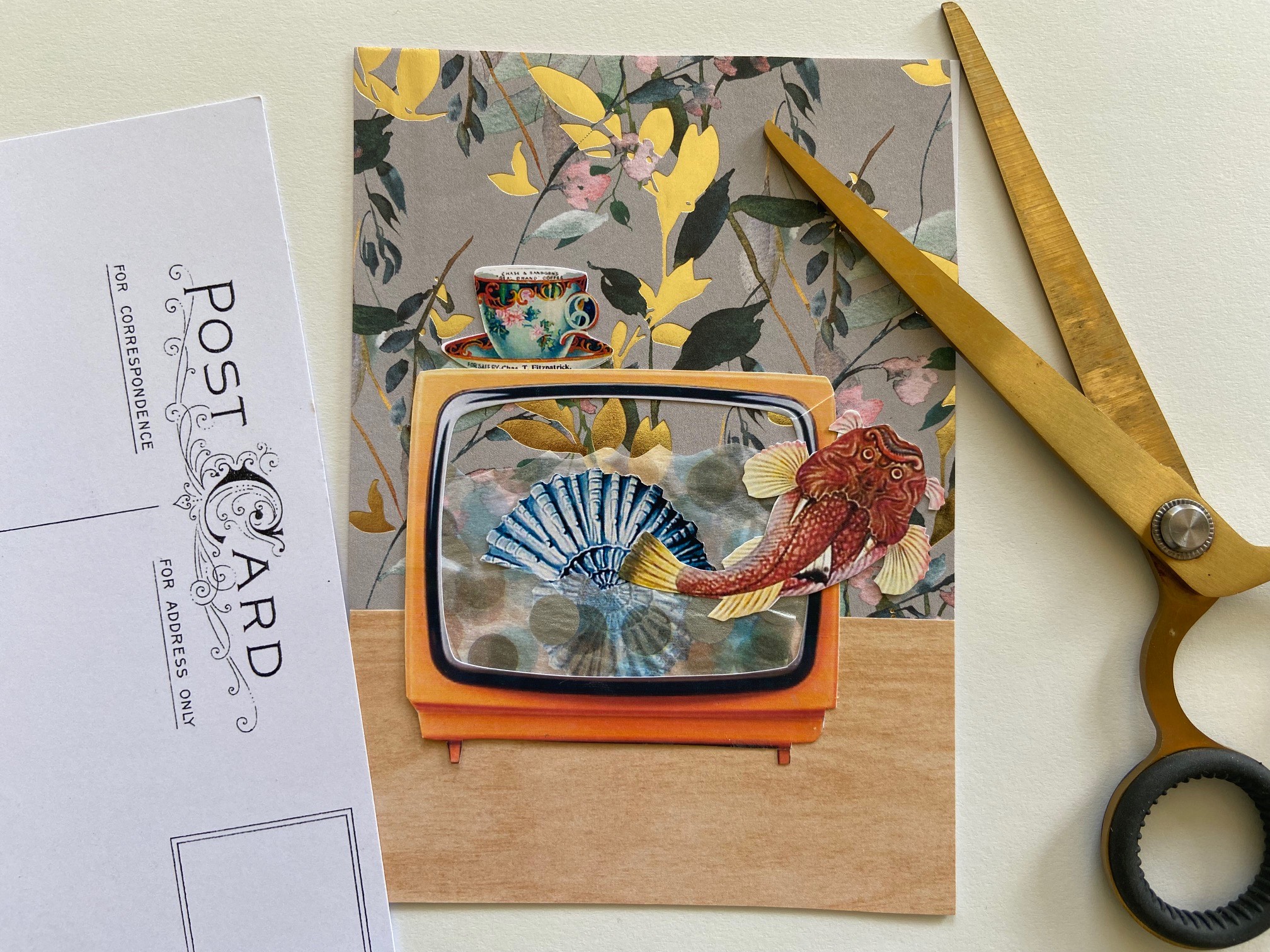 Artists of the Illawarra: Angie Cass