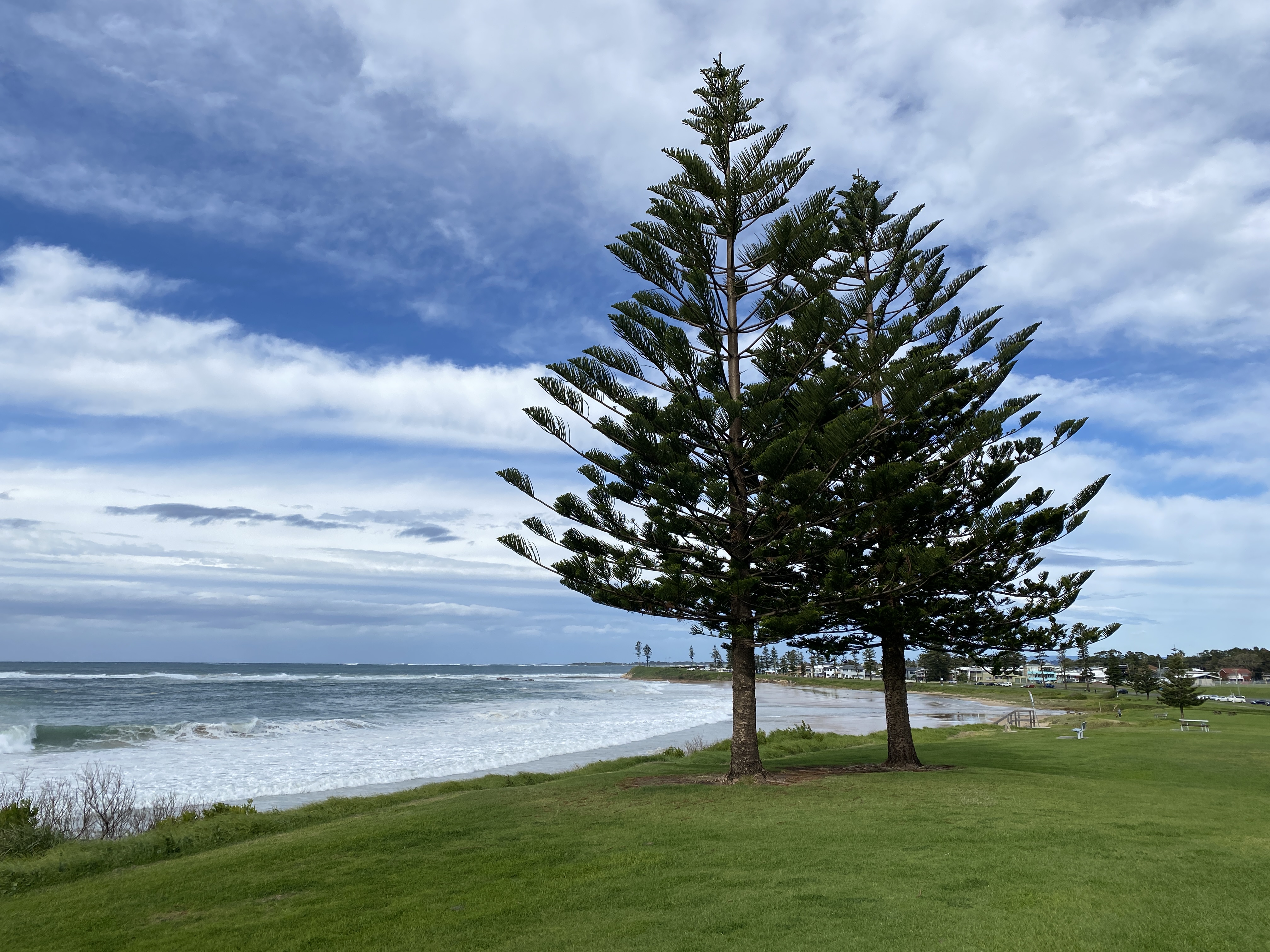 Hello, Wednesday readers