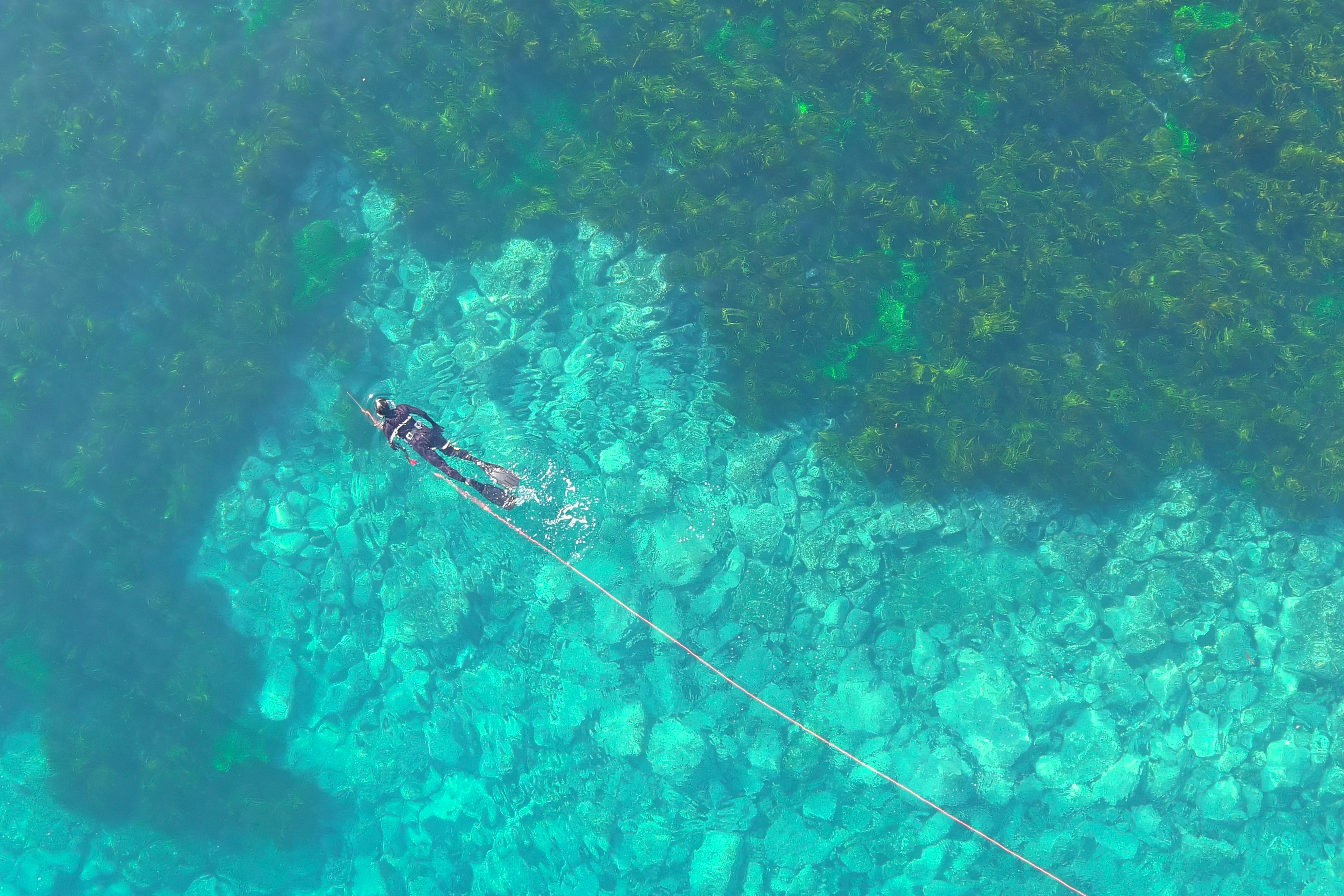 Big blue gap: Scientist calls for Illawarra marine tourism plan