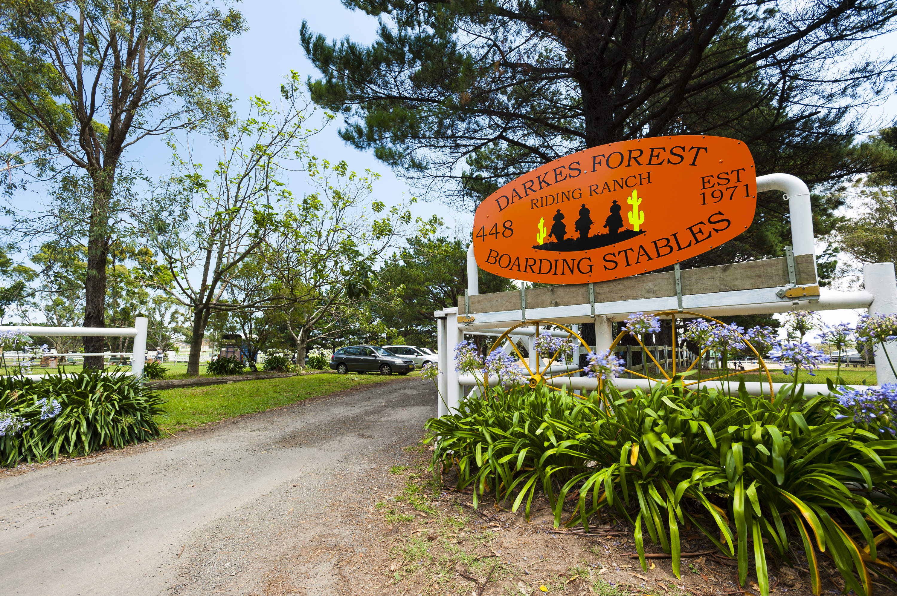 Help the riding ranch  post image