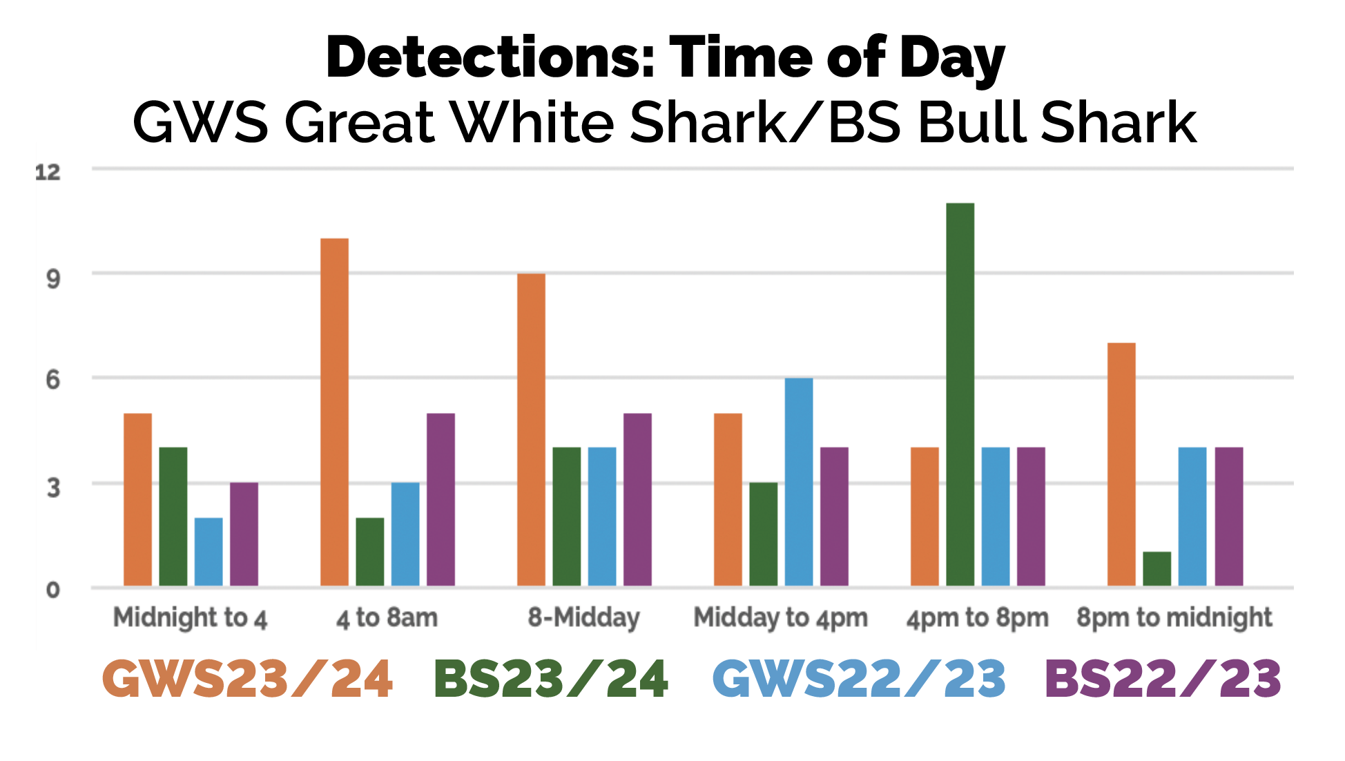 Frequent Visitor Award goes to Shark #1901