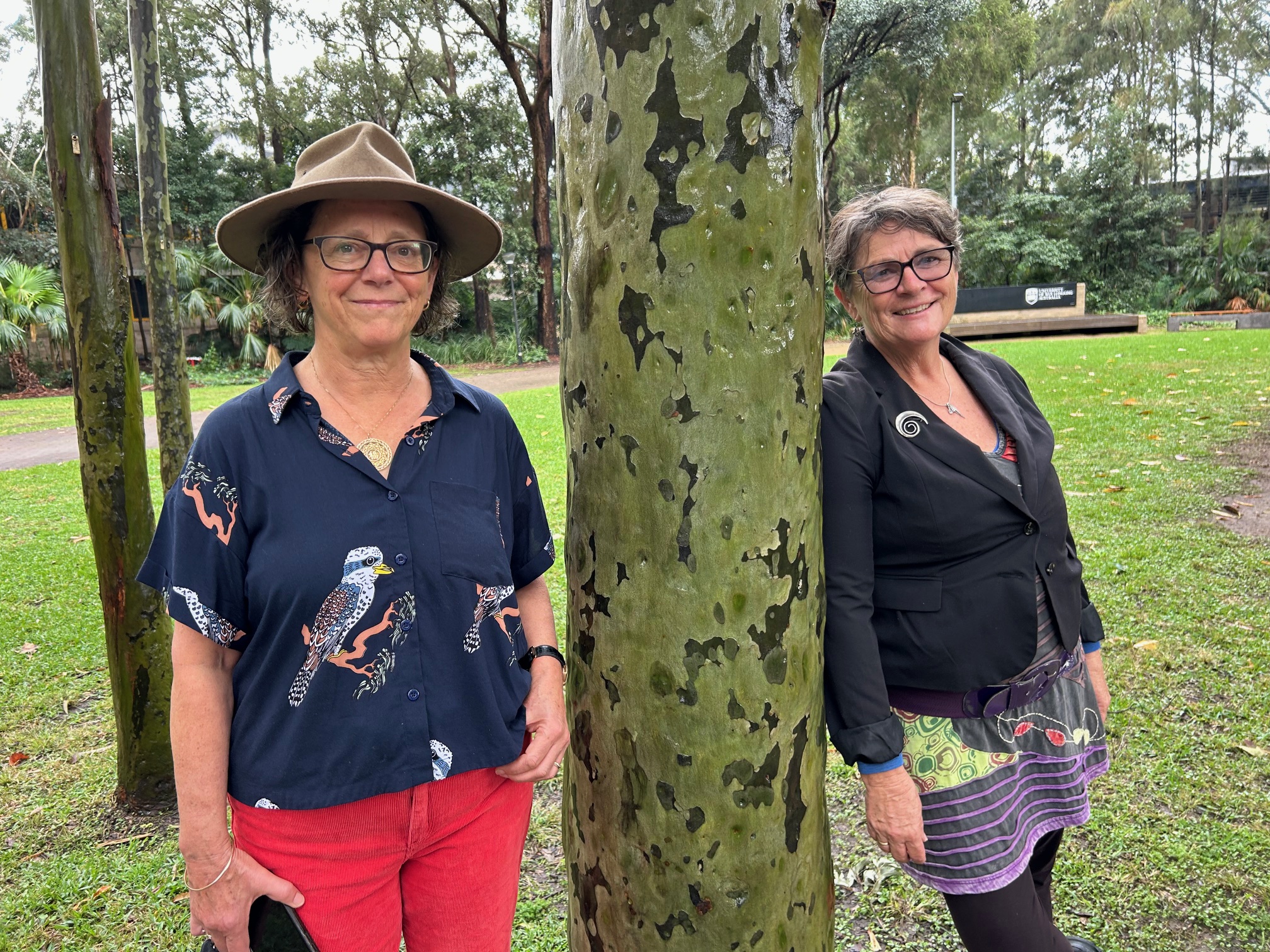 New Campus Tree Walk a golden opportunity to celebrate UOW’s 50th anniversary  post image
