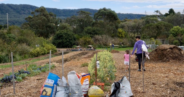 Discover Woonona Community Garden