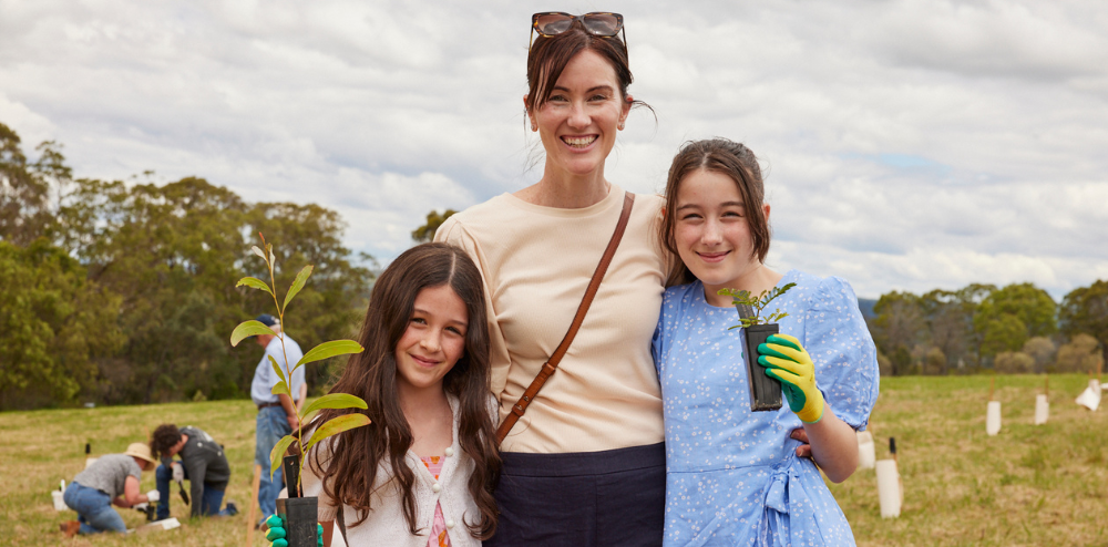 6000 new seedlings planted: 5,700 poems written