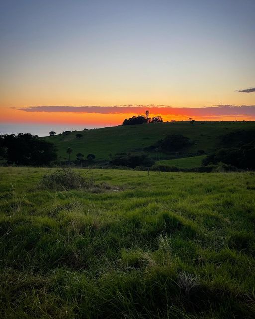 3 dairy farms of the South Coast  post image