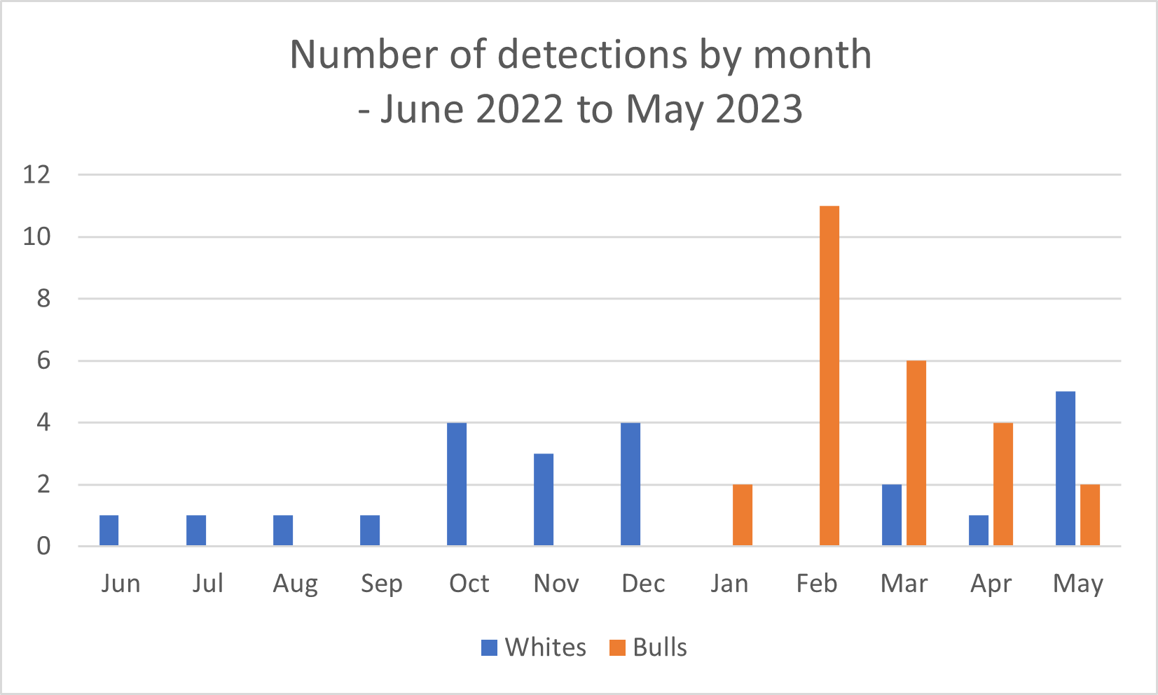 Hello Fish: What shark species turn up when